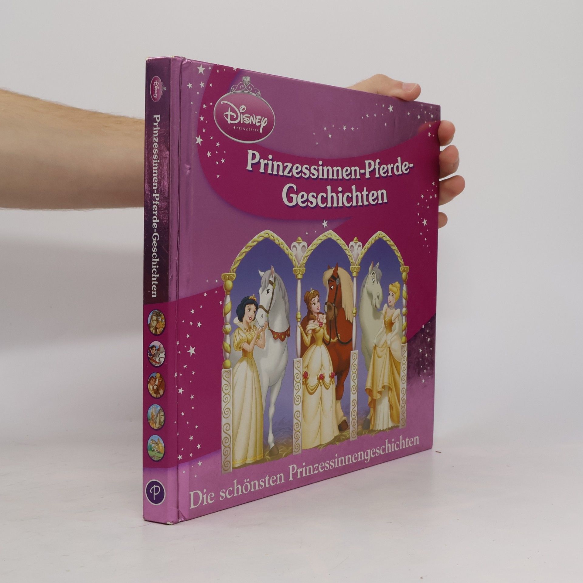 Various authors Prinzessinnen-Pferde-Geschichten
