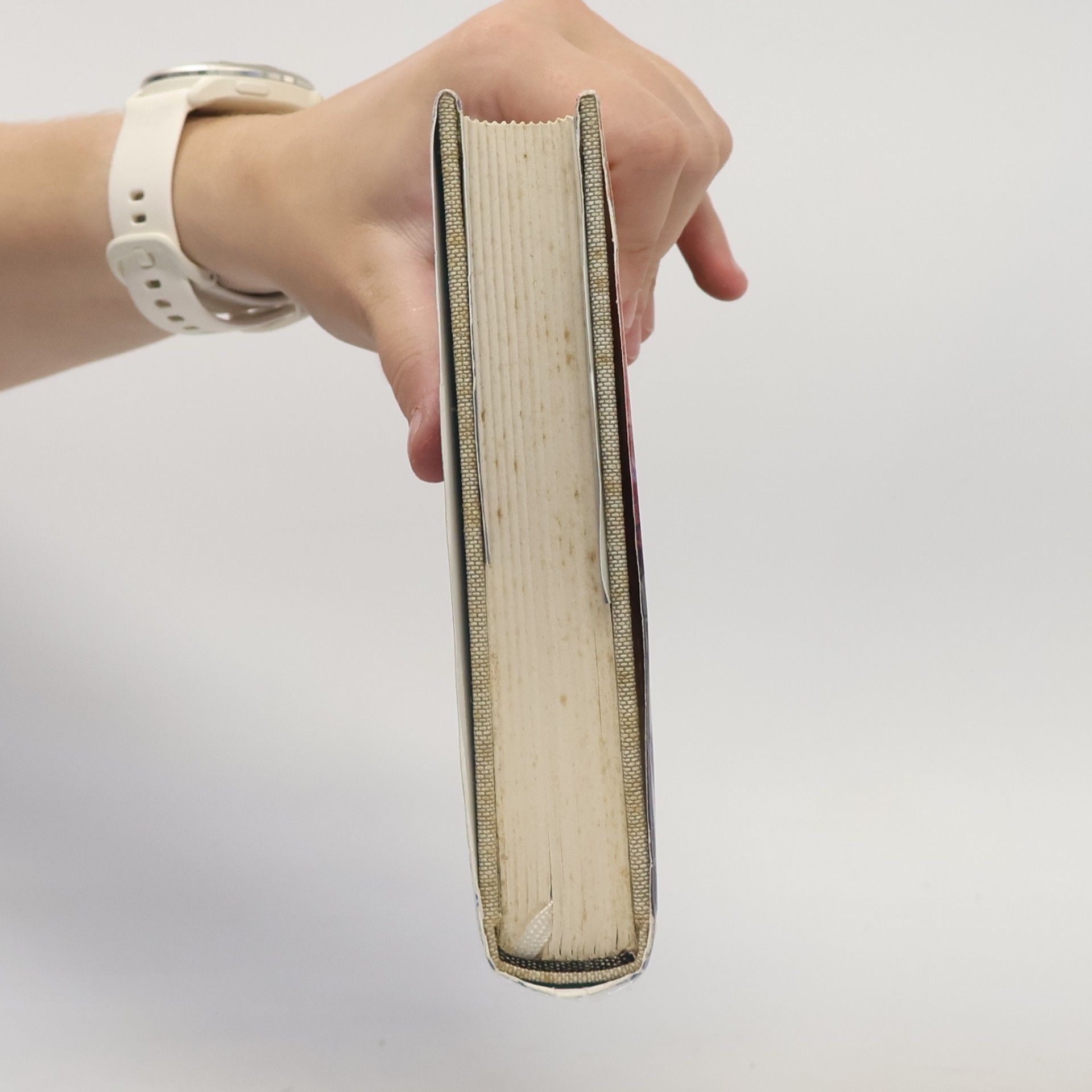 Isabel Allende Dům duchů