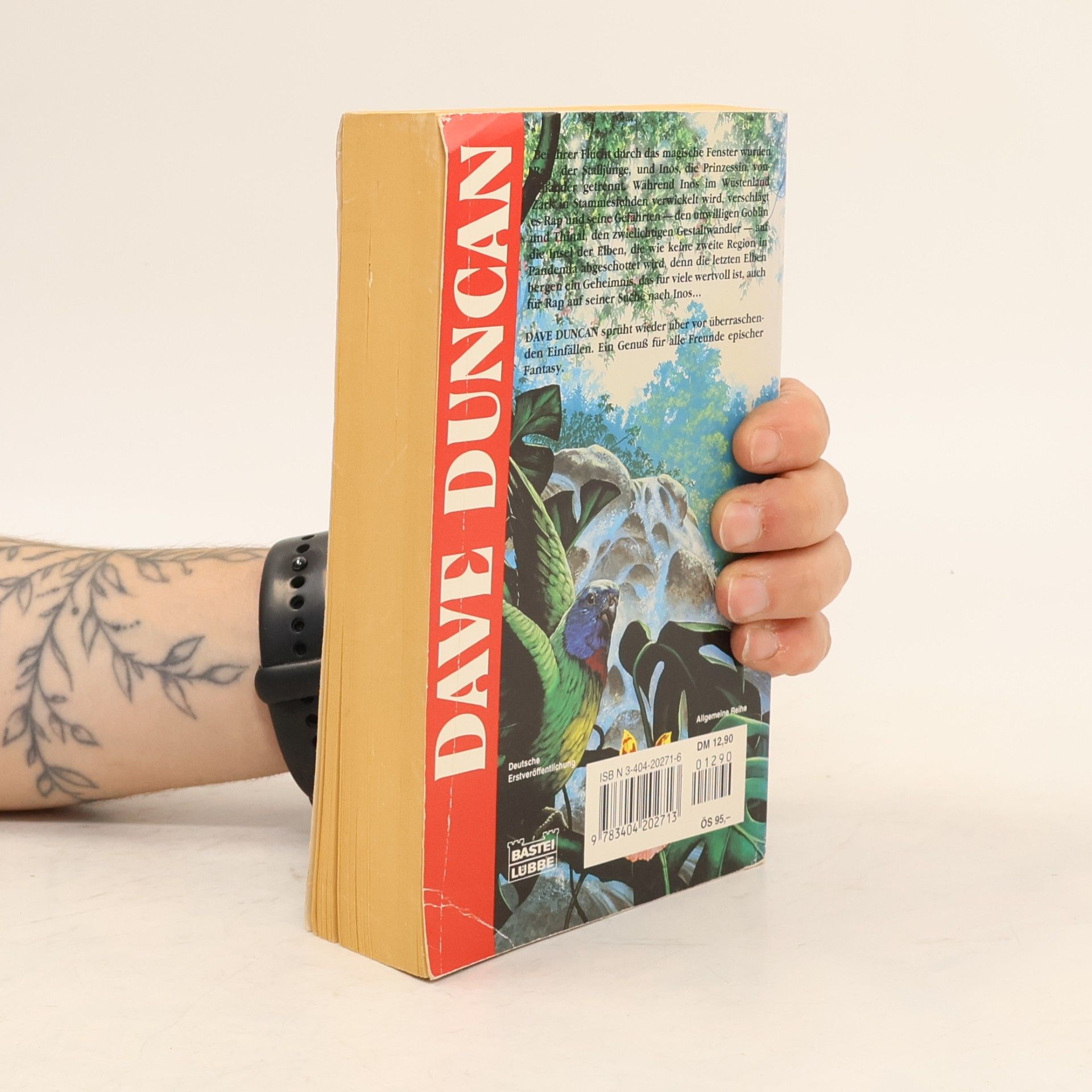 Dave Duncan Die Insel der Elben. Die Pandemia-Saga
