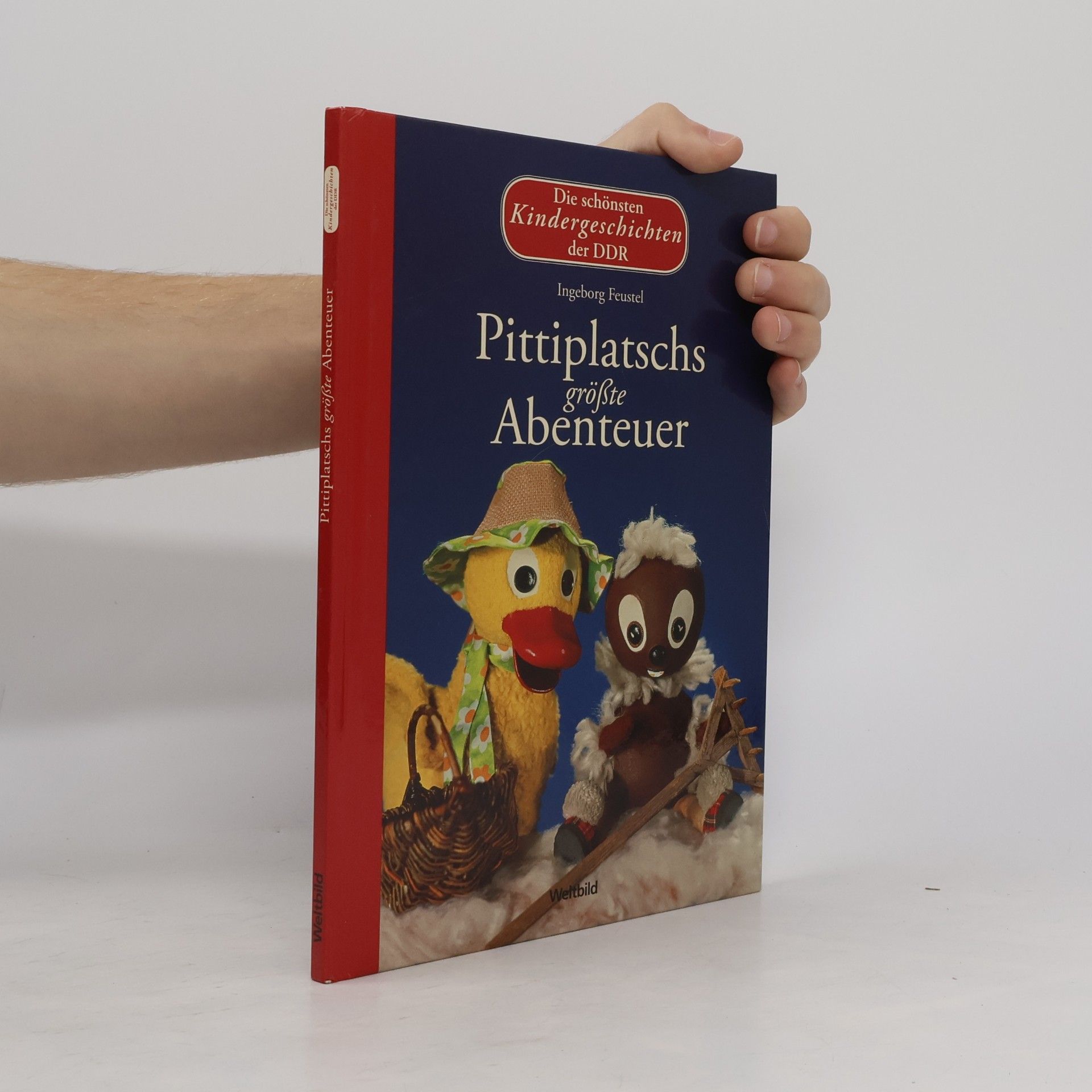 Ingeborg Feustel Pittiplatschs größte Abenteuer - Die schönsten Kindergeschichten der DDR