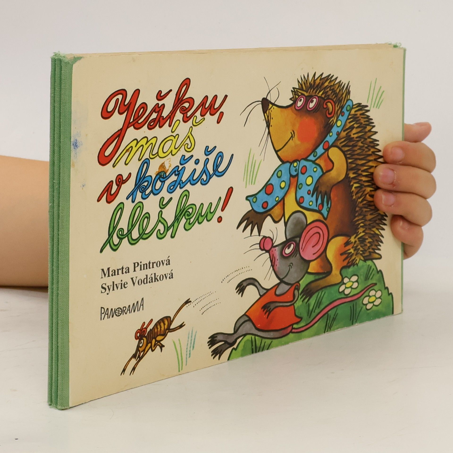 Marta Pintrová Ježku, máš v kožiše blešku!