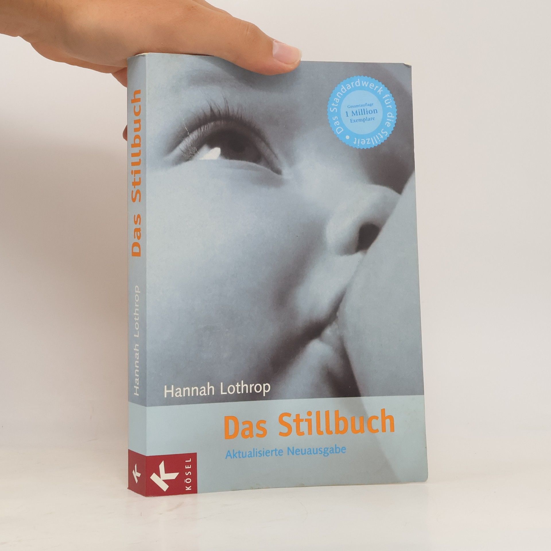 Hanny Lothrop Das Stillbuch