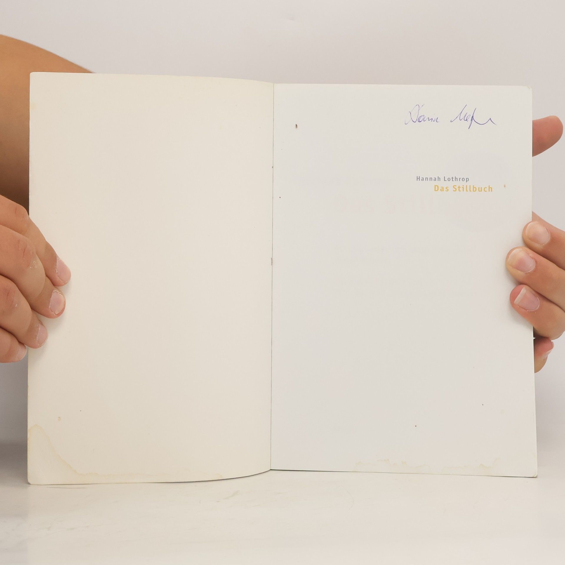 Hanny Lothrop Das Stillbuch