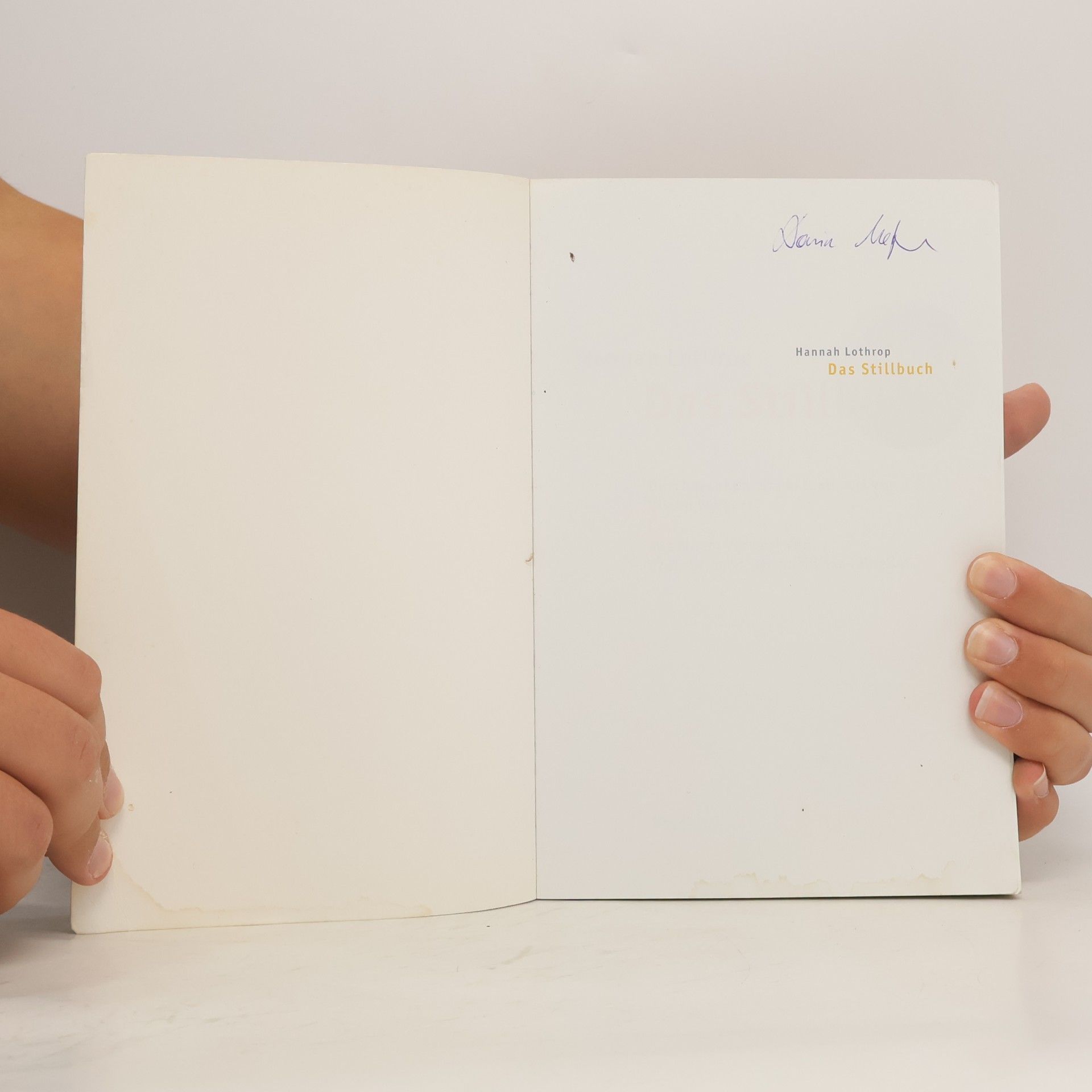 Hanny Lothrop Das Stillbuch