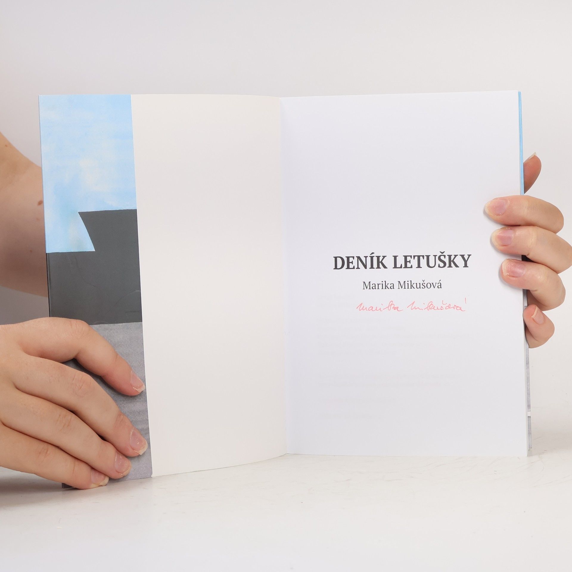 Marika Mikušová Deník letušky