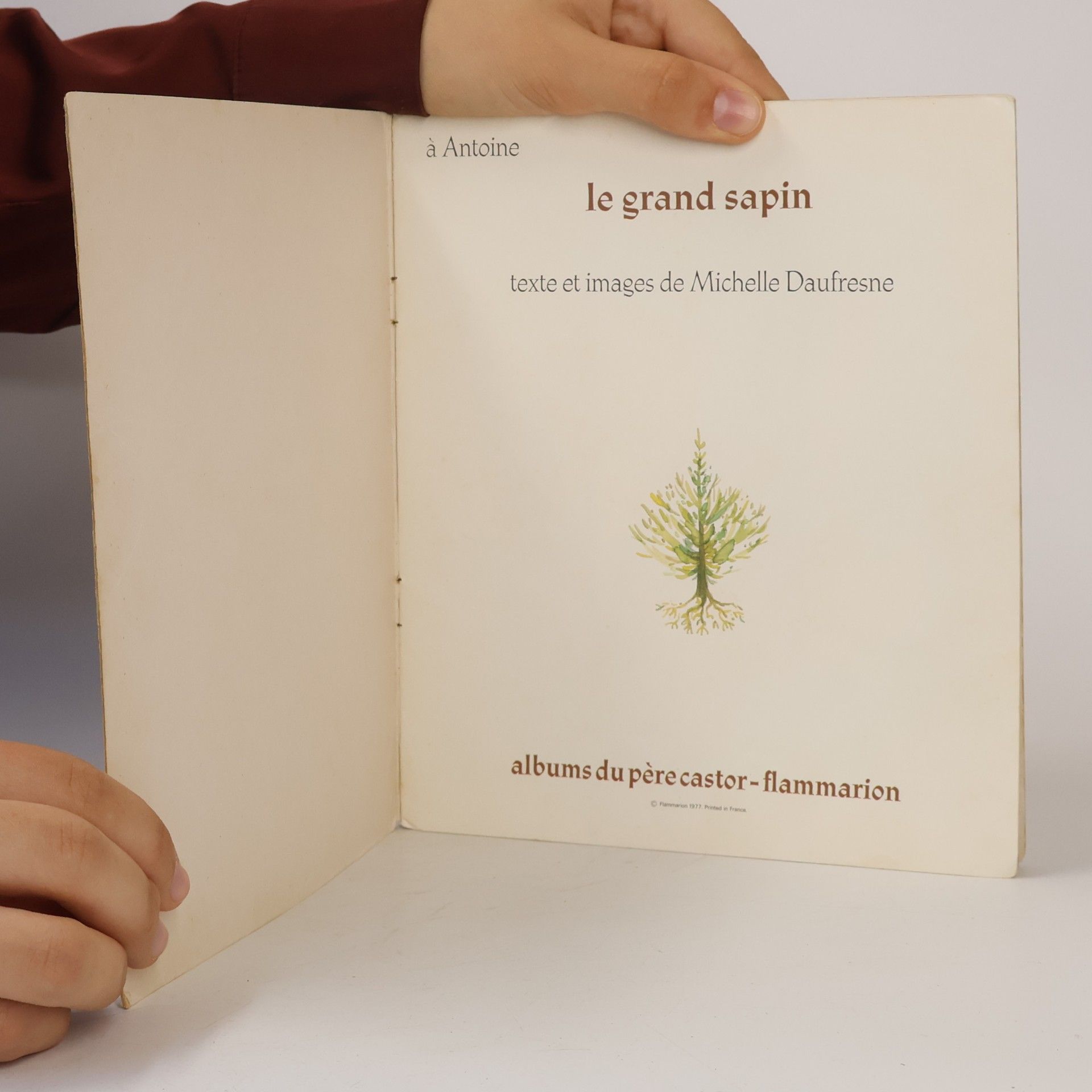 Michelle Daufresne Le grand sapin