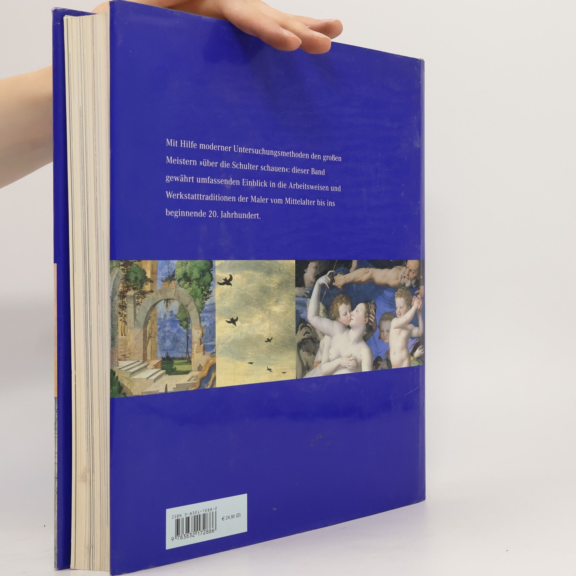 Knut Nicolaus DuMonts Handbuch der Gemäldekunde
