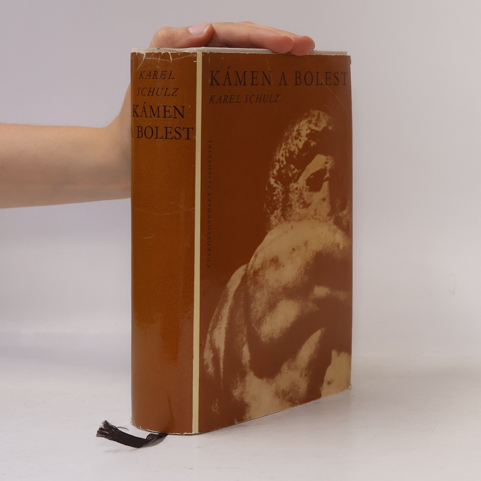 Karel Schulz Kámen a bolest