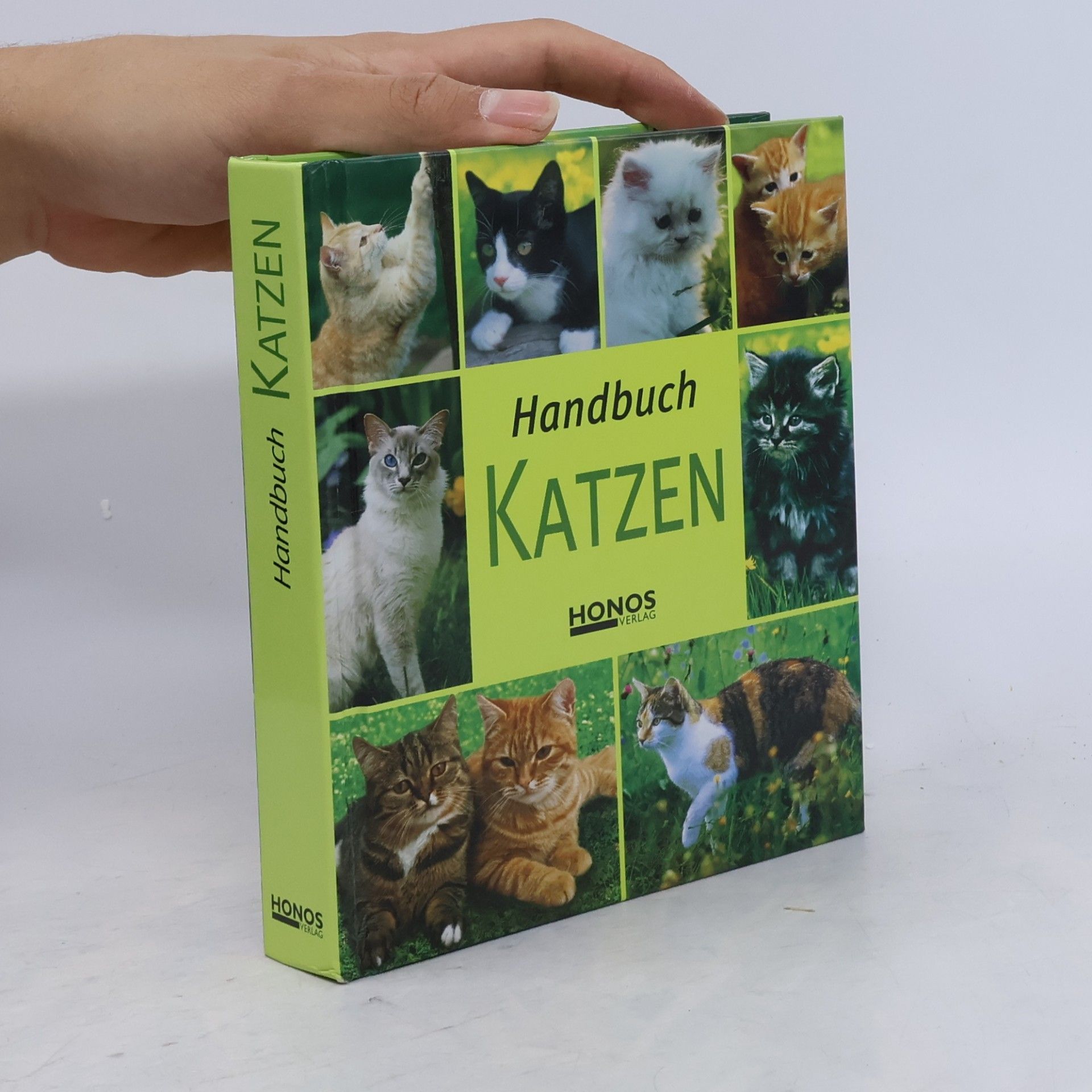 Autorenkollektiv Handbuch Katzen