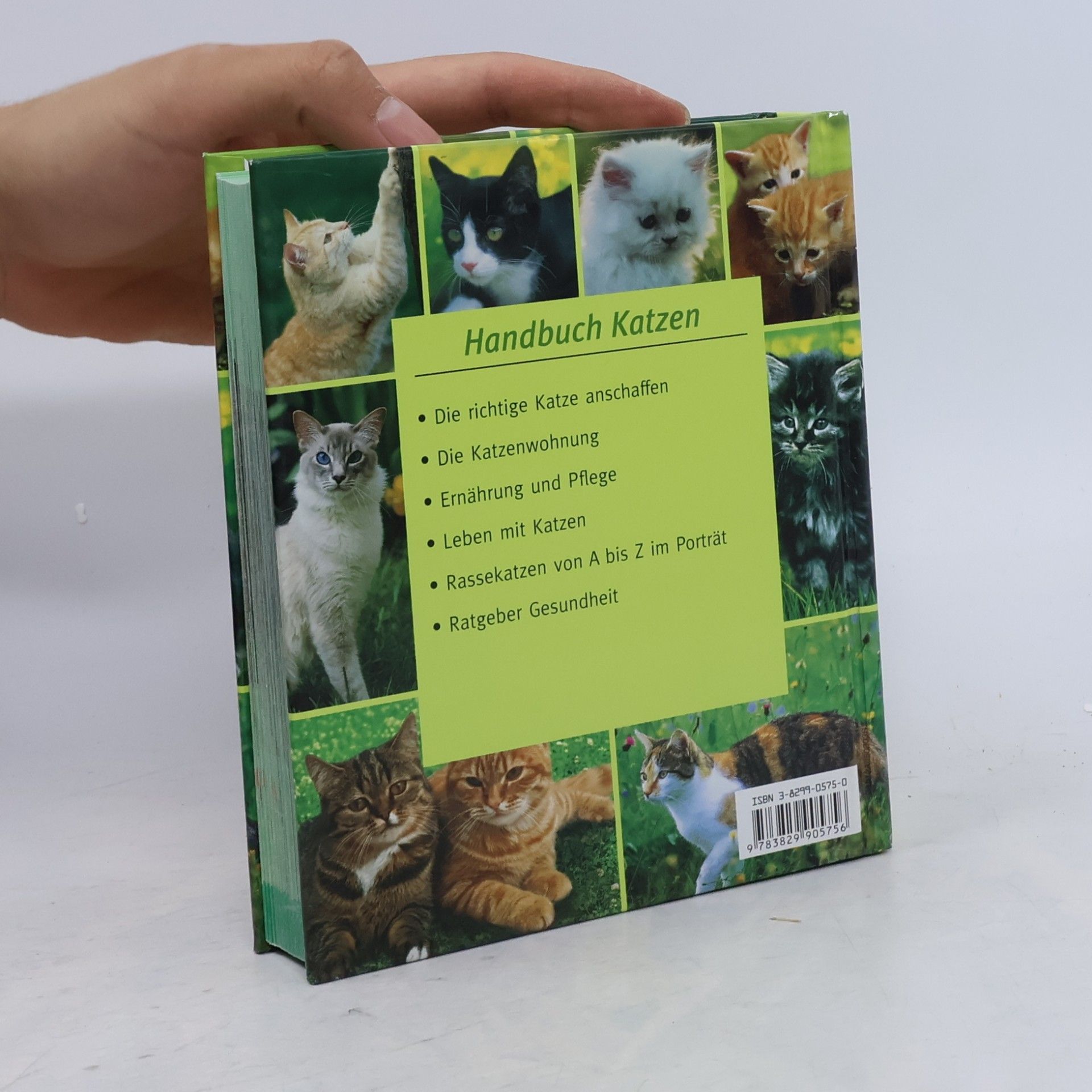 Various authors Handbuch Katzen