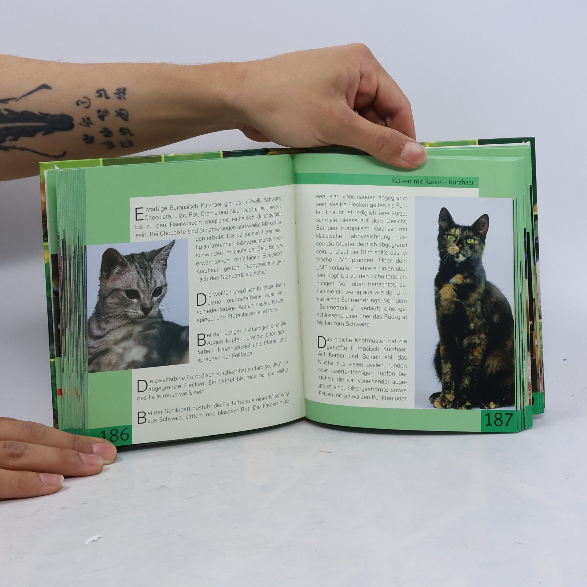 Various authors Handbuch Katzen