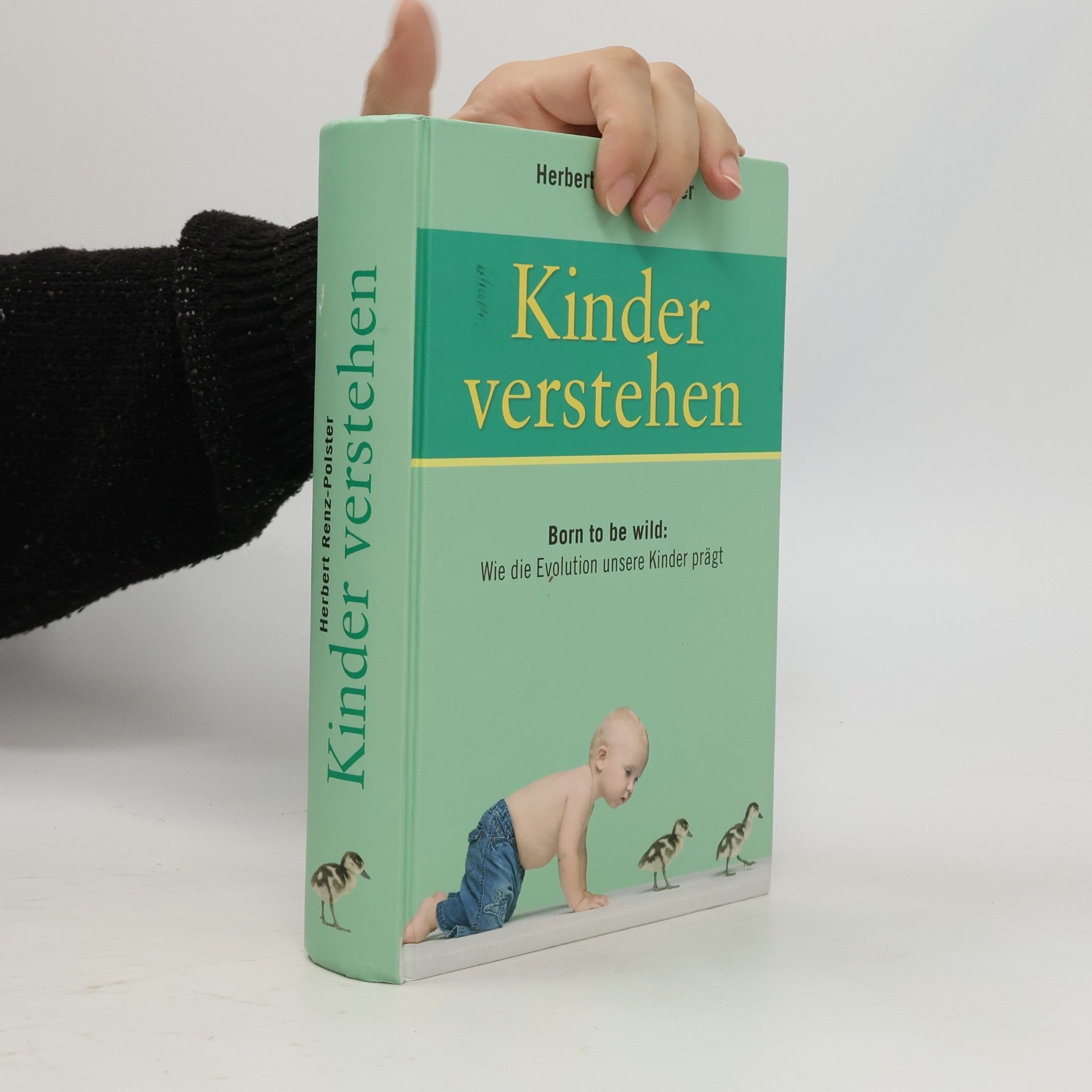 Herbert Renz-Polster Kinder verstehen