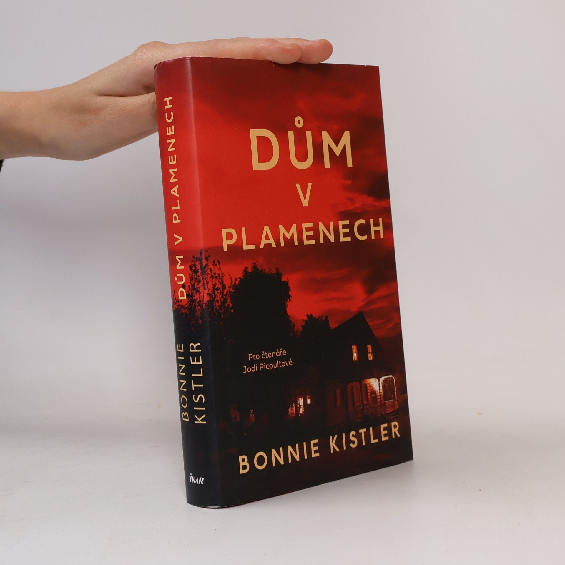 Bonnie Kistler Dům v plamenech