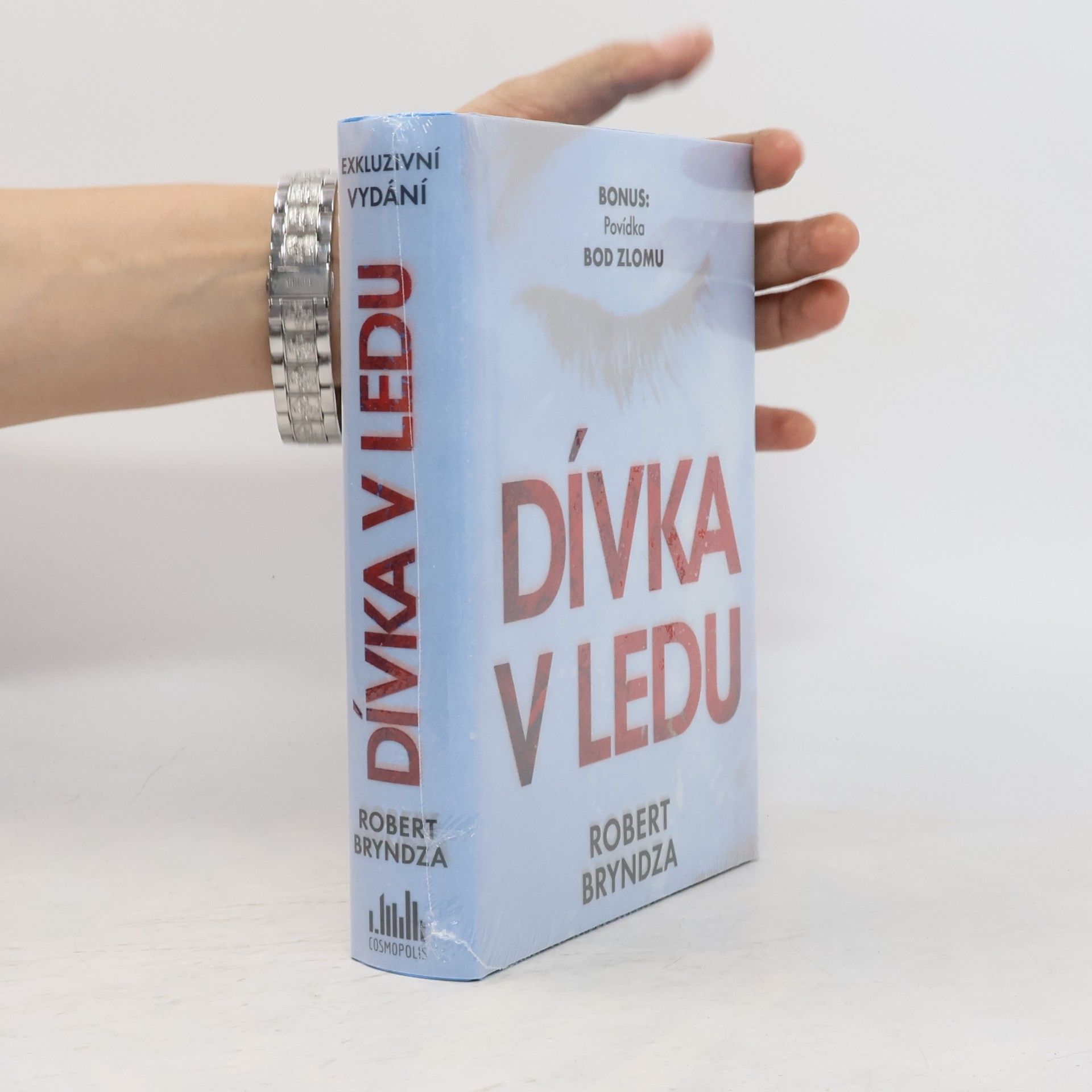 Robert Bryndza Dívka v ledu