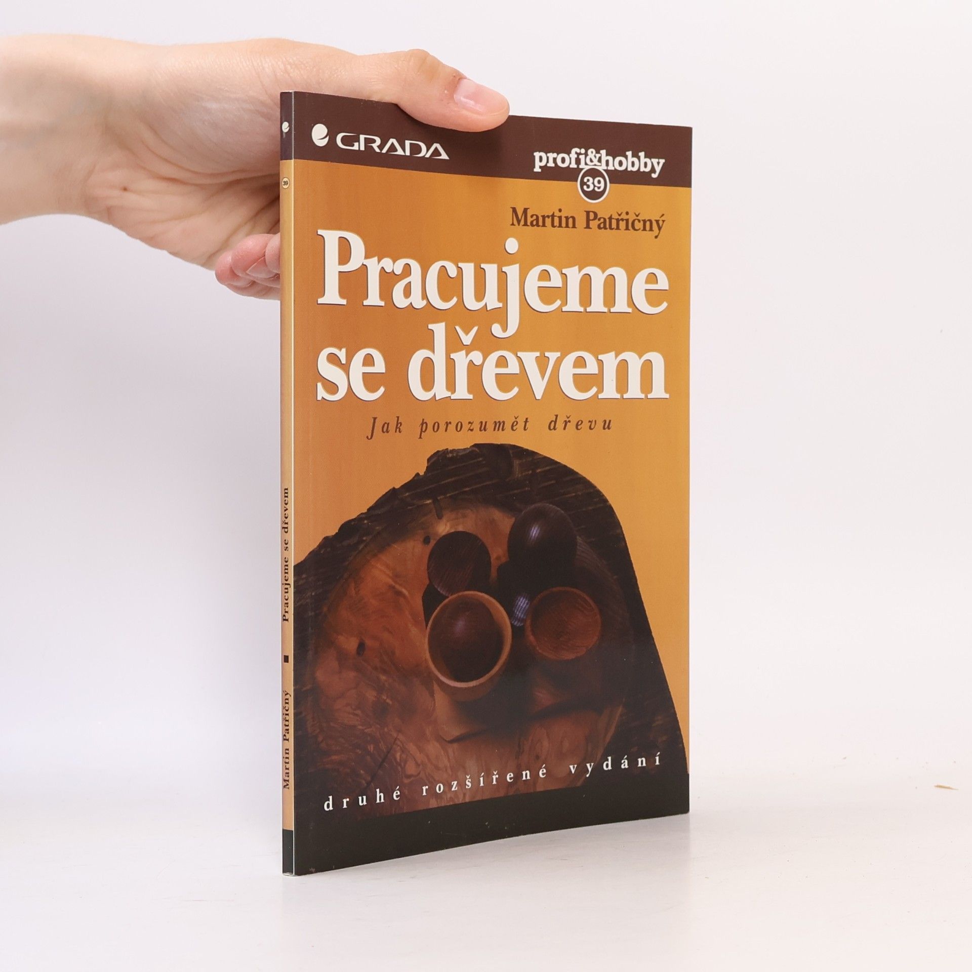 Martin Patřičný Pracujeme se dřevem – jak porozumět dřevu