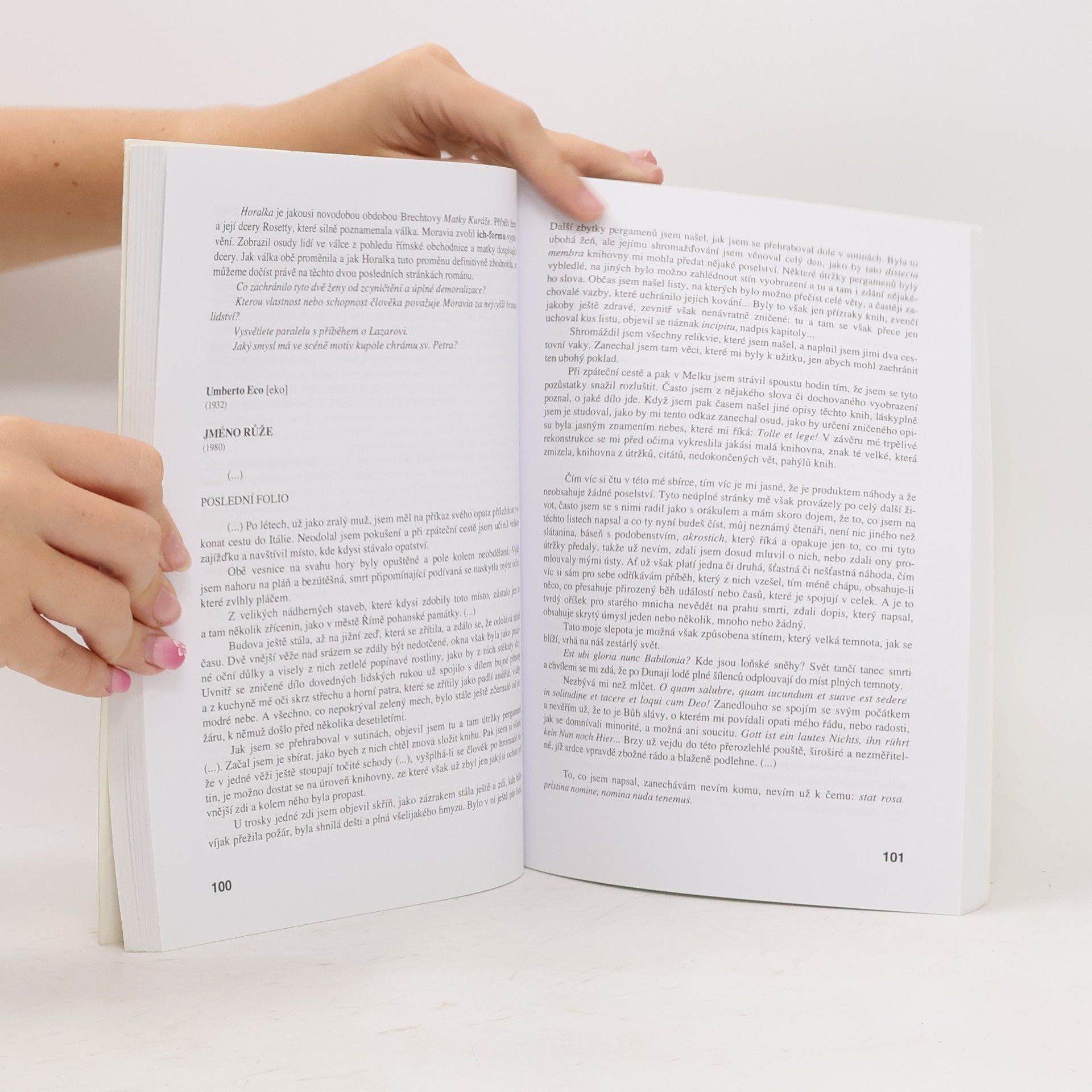Bohuslav Hoffmann Literatura IV. Výbor textů, interpretace, literární teorie