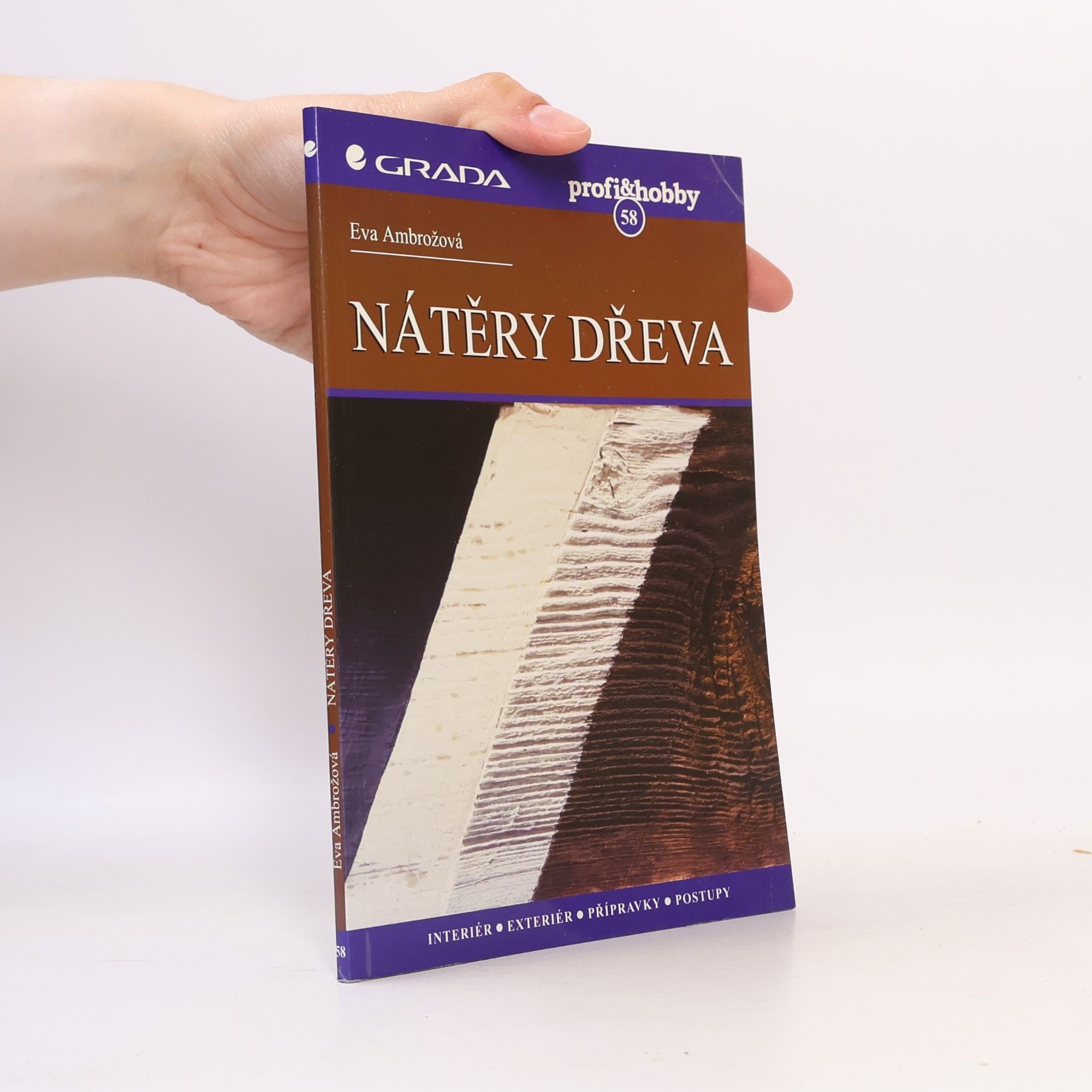 Ambrozová Eva Nátěry dřeva