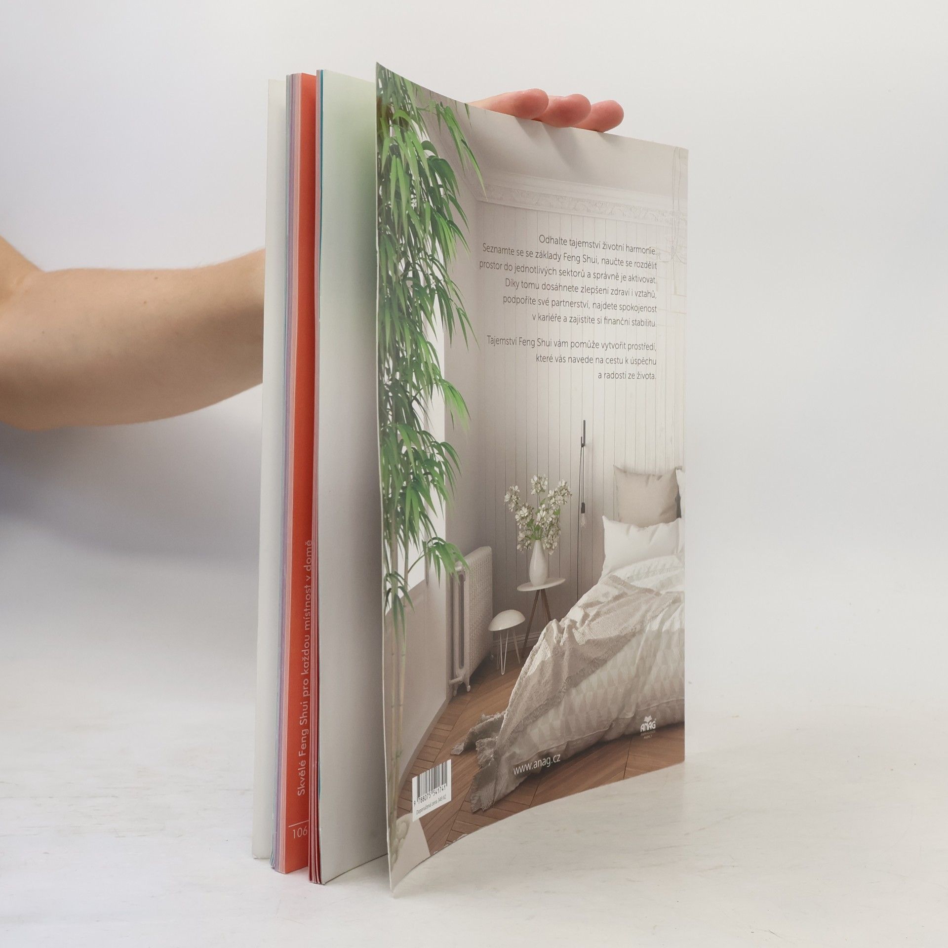 Ludmila Djemelová Tajemství Feng Shui
