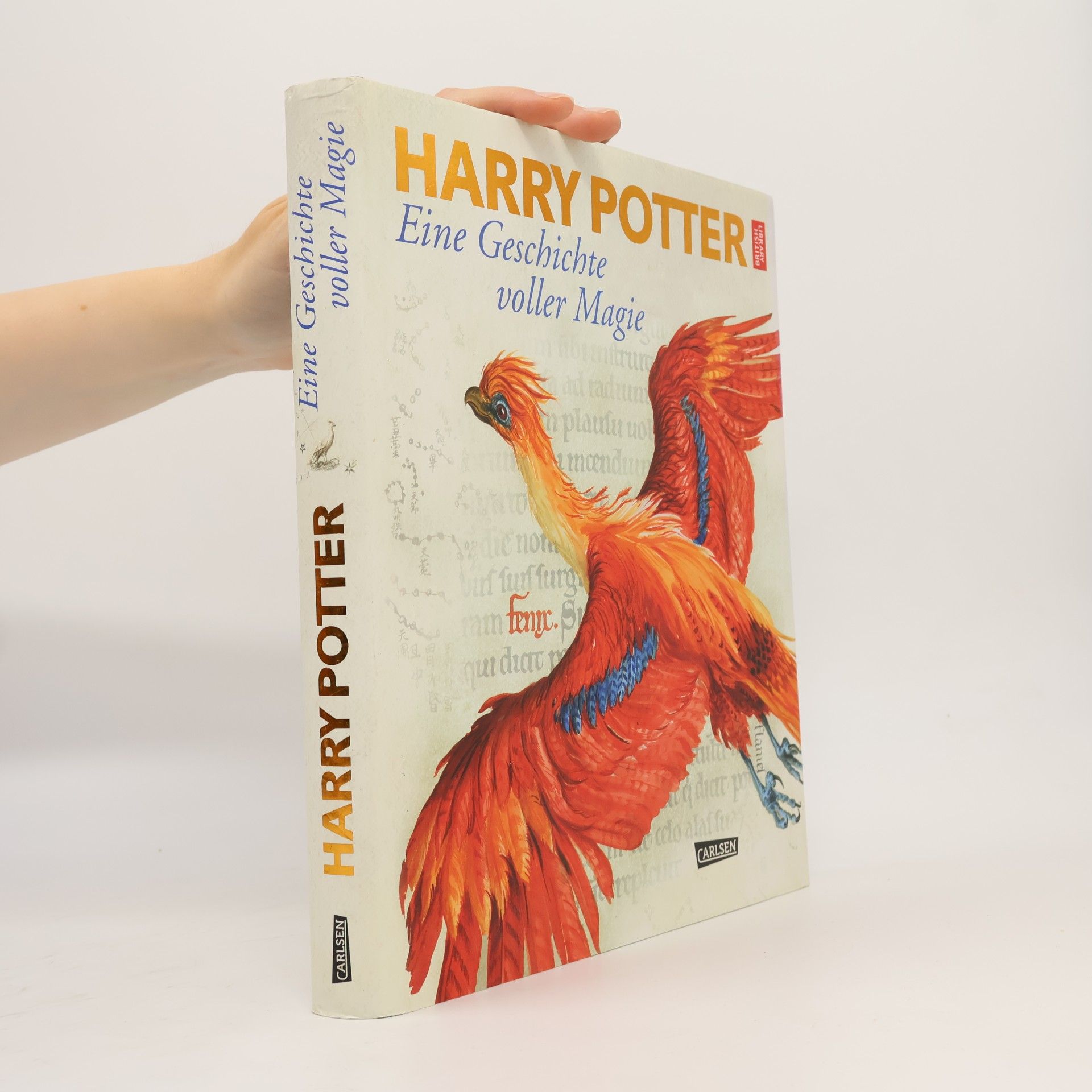 Karlheinz Dürr Harry Potter: eine Geschichte voller Magie