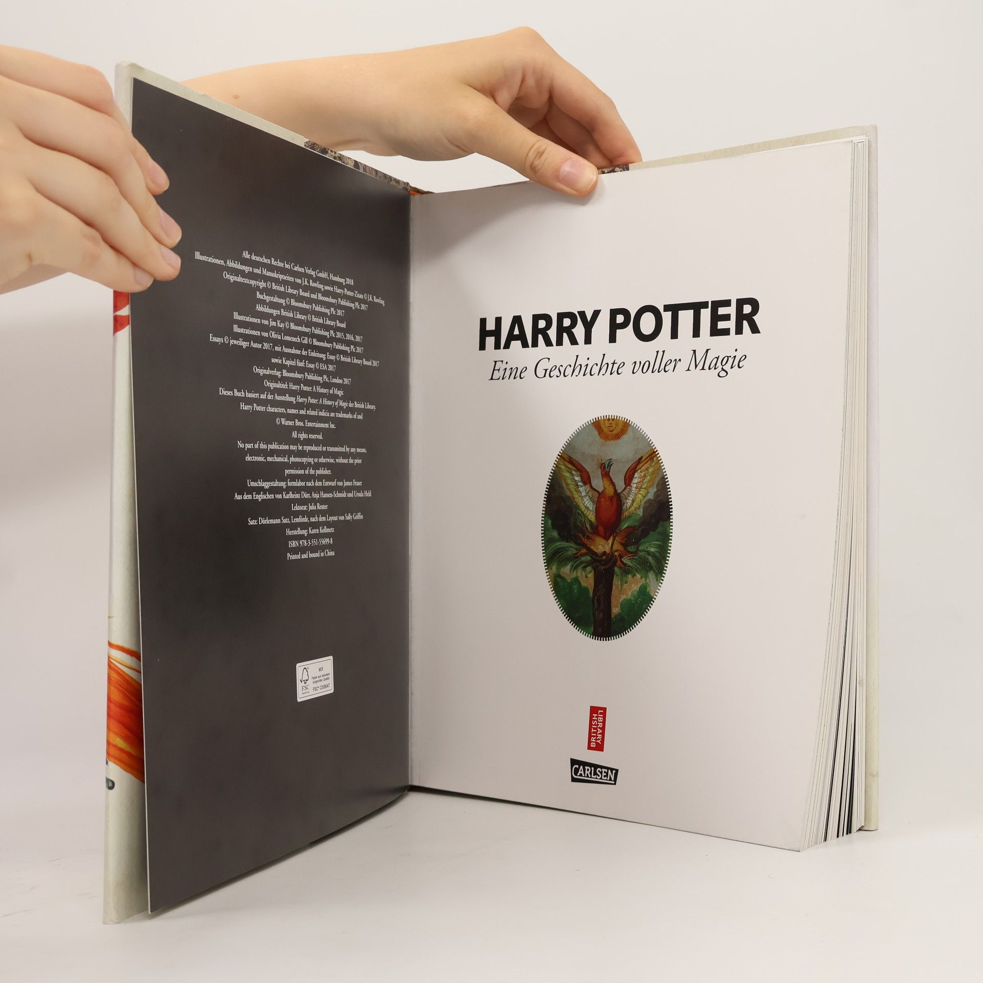 Karlheinz Dürr Harry Potter: eine Geschichte voller Magie