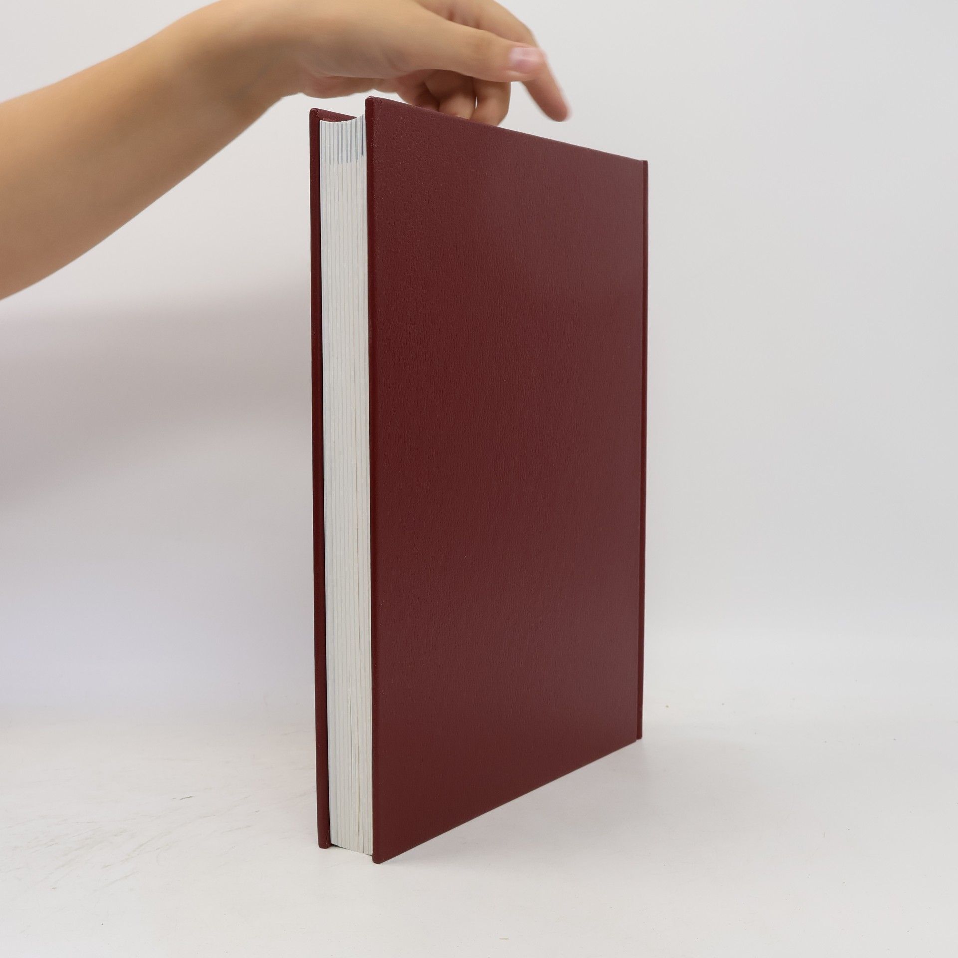 Uwe Birnstein Das Jahrtausendbuch 1001 -2000