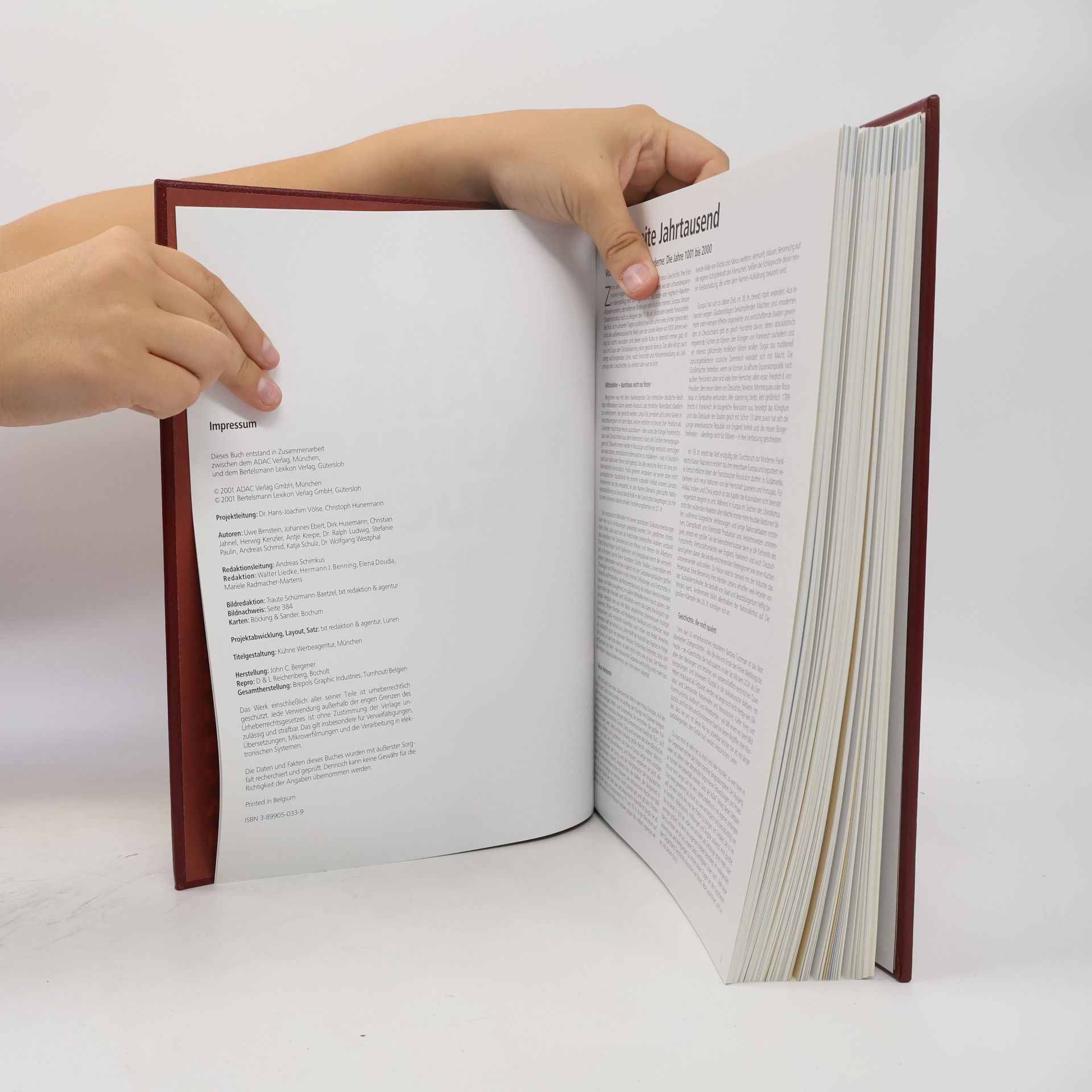 Uwe Birnstein Das Jahrtausendbuch 1001 -2000