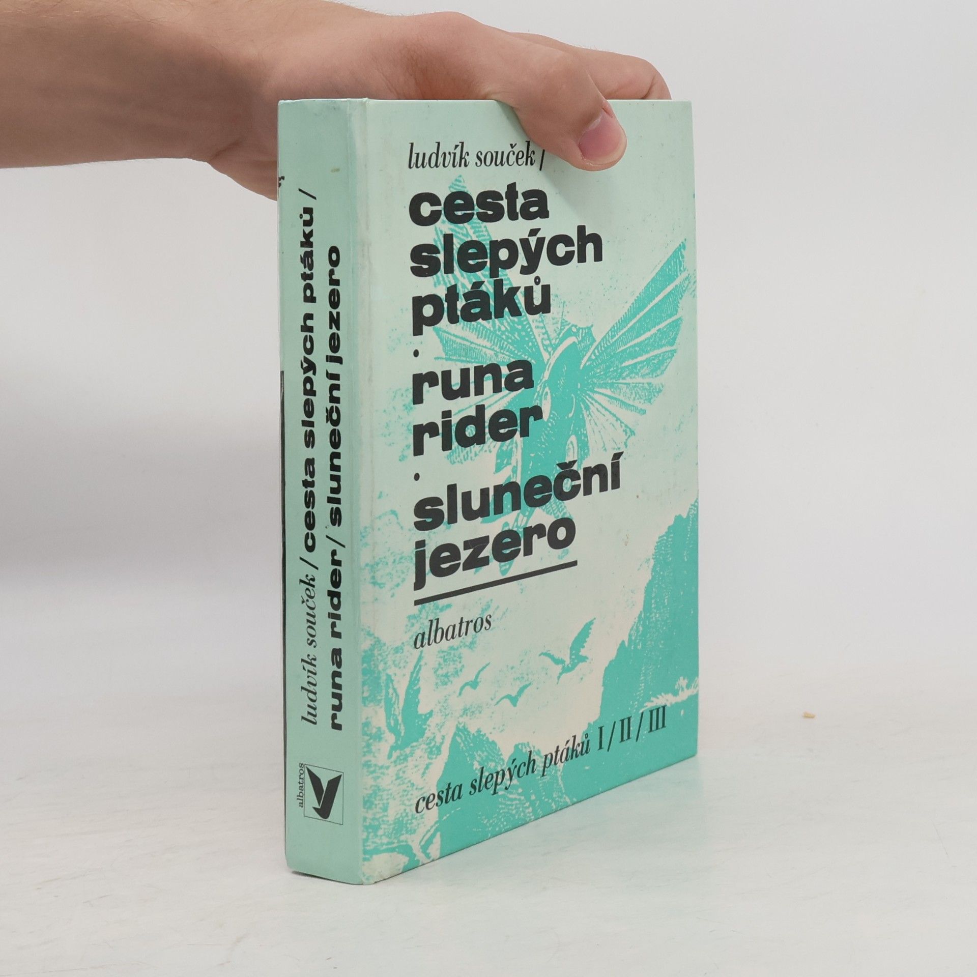 Ludvík Souček Cesta slepých ptáků. Runa rider. Sluneční jezero