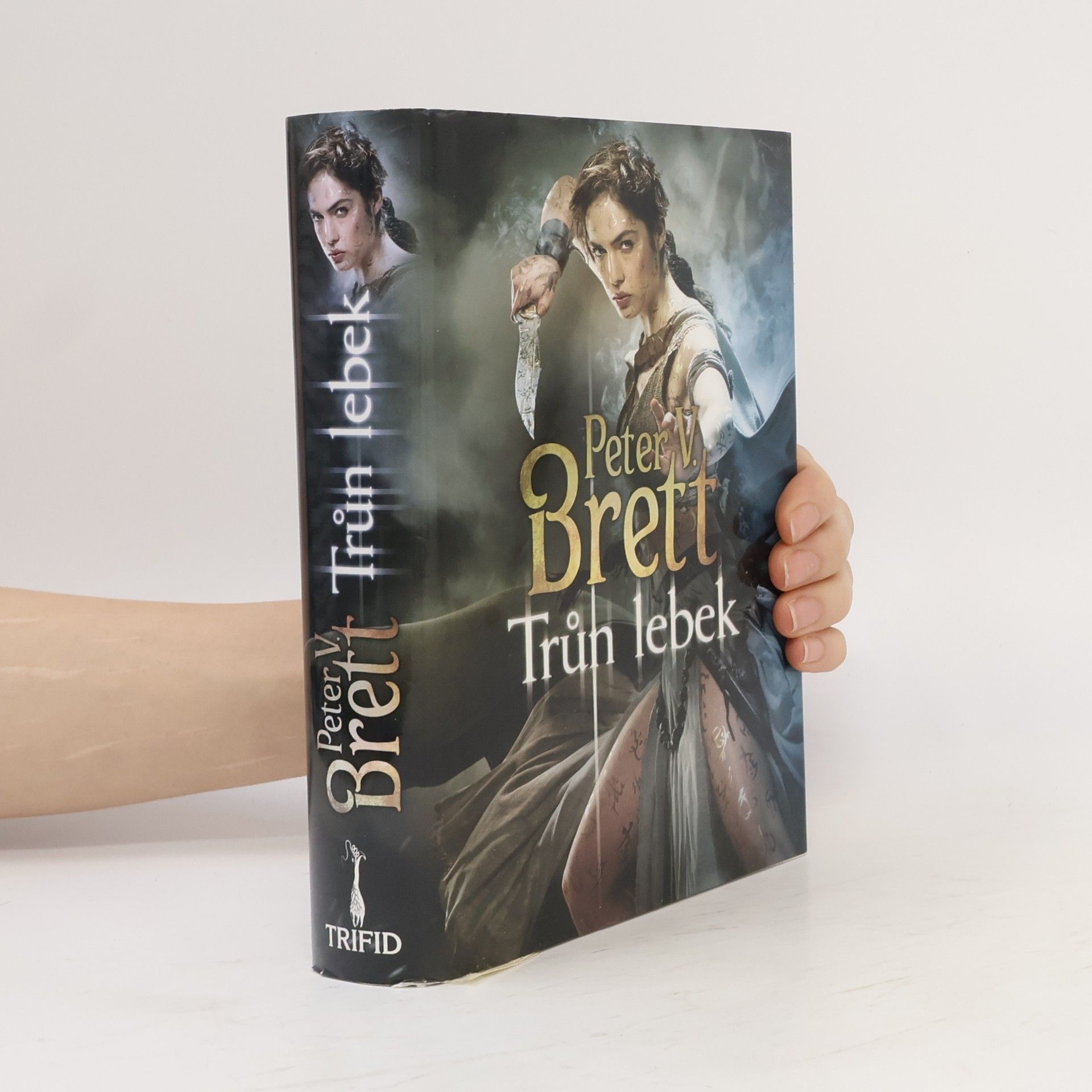 Peter V. Brett Trůn lebek