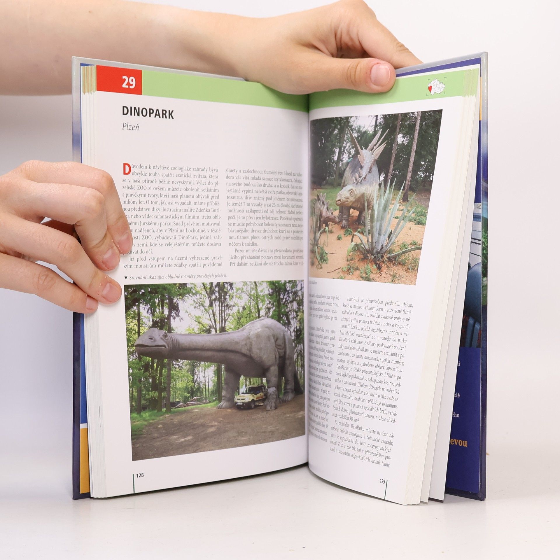 Kolektiv autorů Toulavá kamera