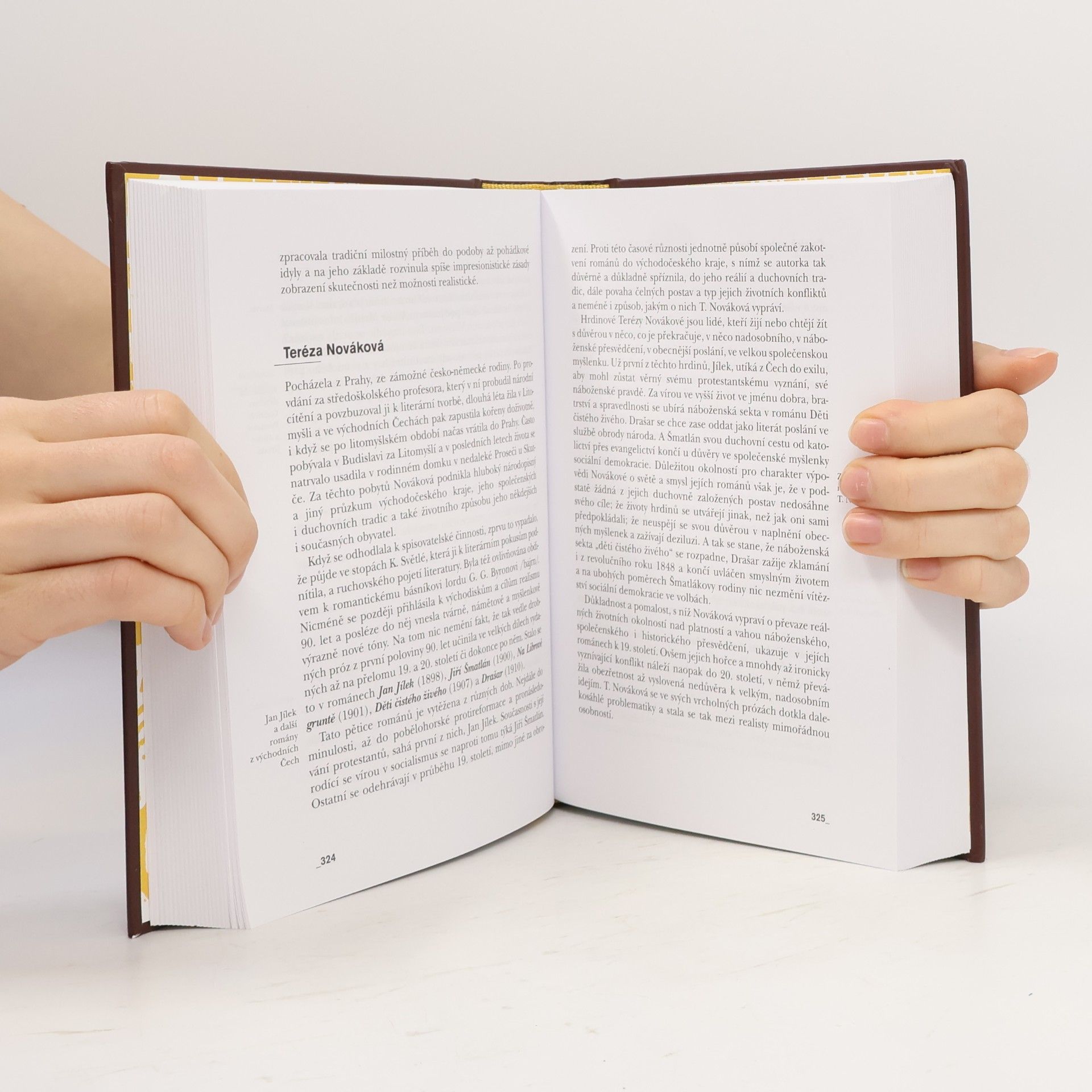 Bohumil Svozil Česká literatura ve zkratce. Období od 9. století po konec 20. století