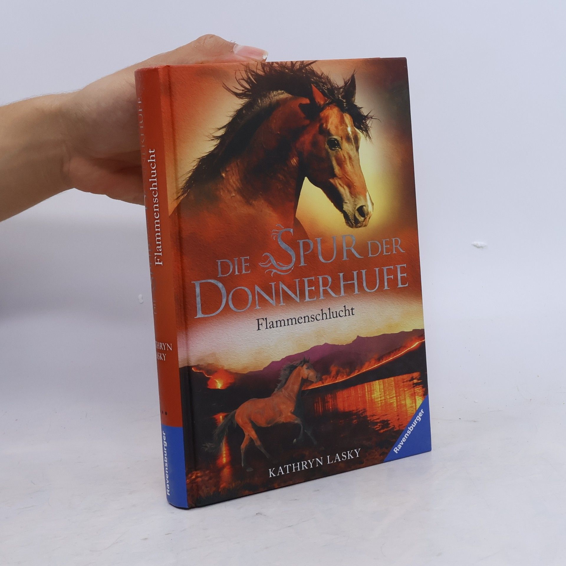 Kathryn Lasky Die Spur der Donnerhufe. Band 1: Flammenschlucht.