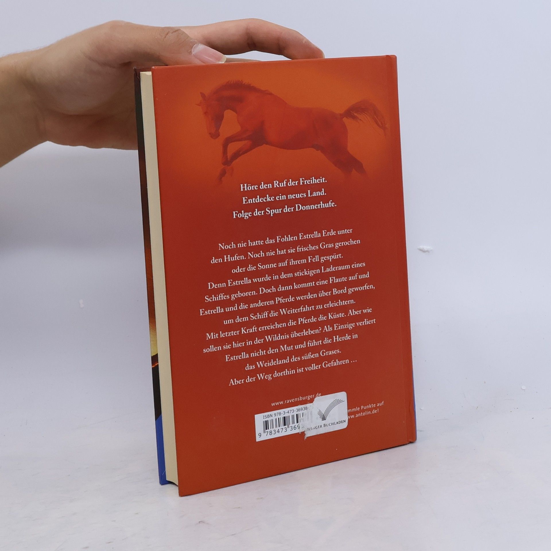 Kathryn Lasky Die Spur der Donnerhufe. Band 1: Flammenschlucht.