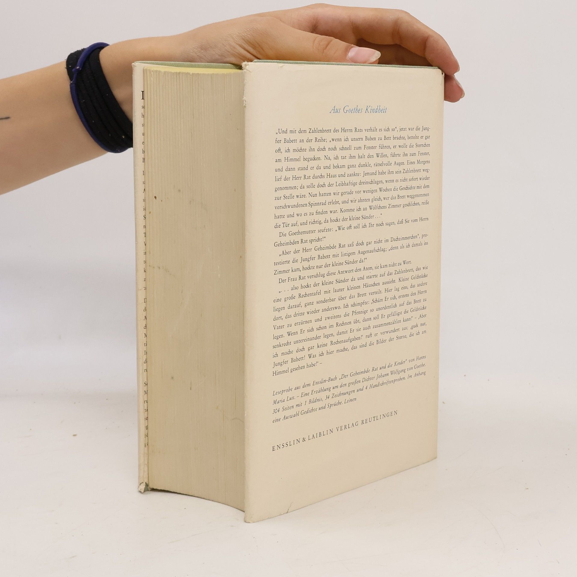 Mark Twain Tom Sawyers Abenteuer
