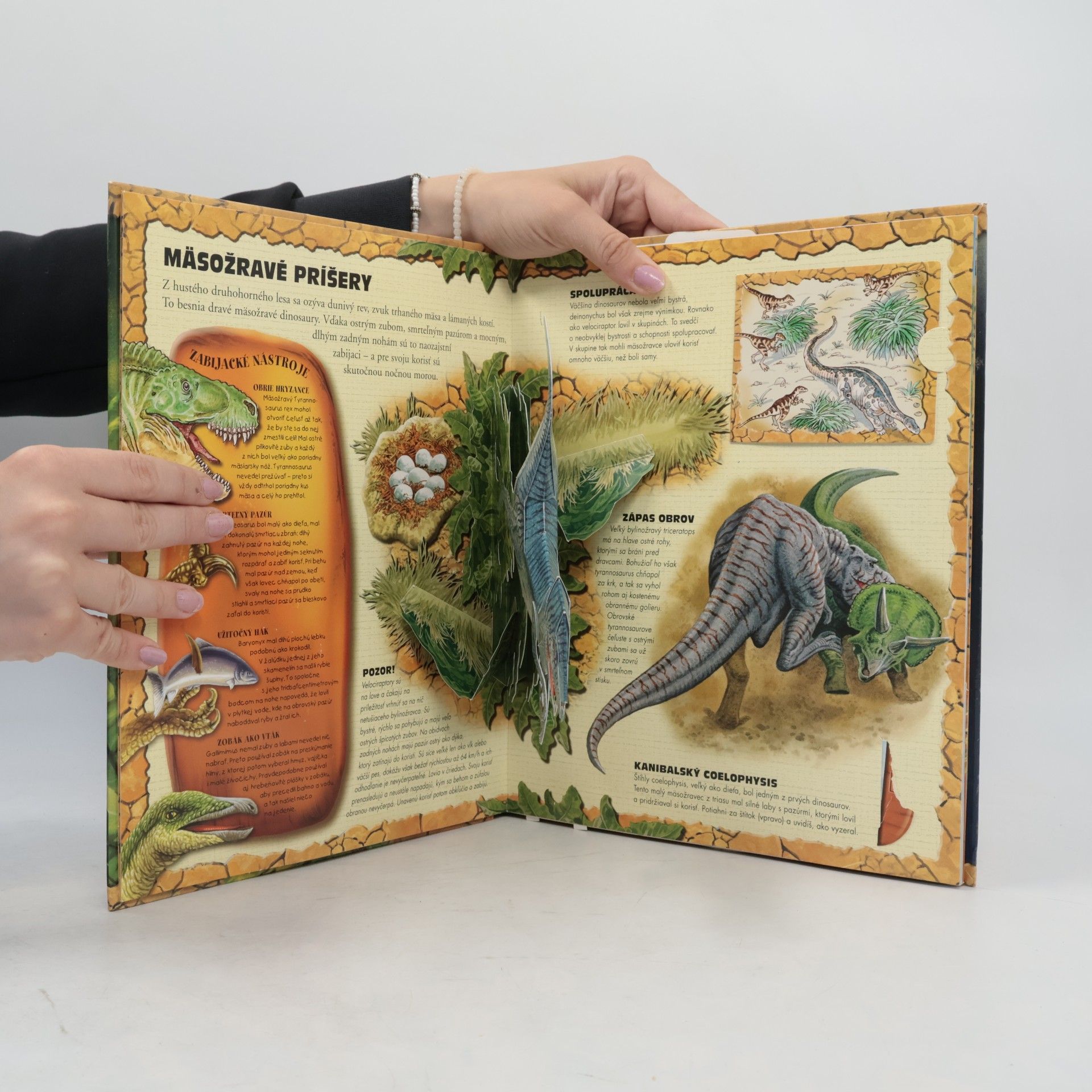 Various authors Veľká kniha dinosaurov