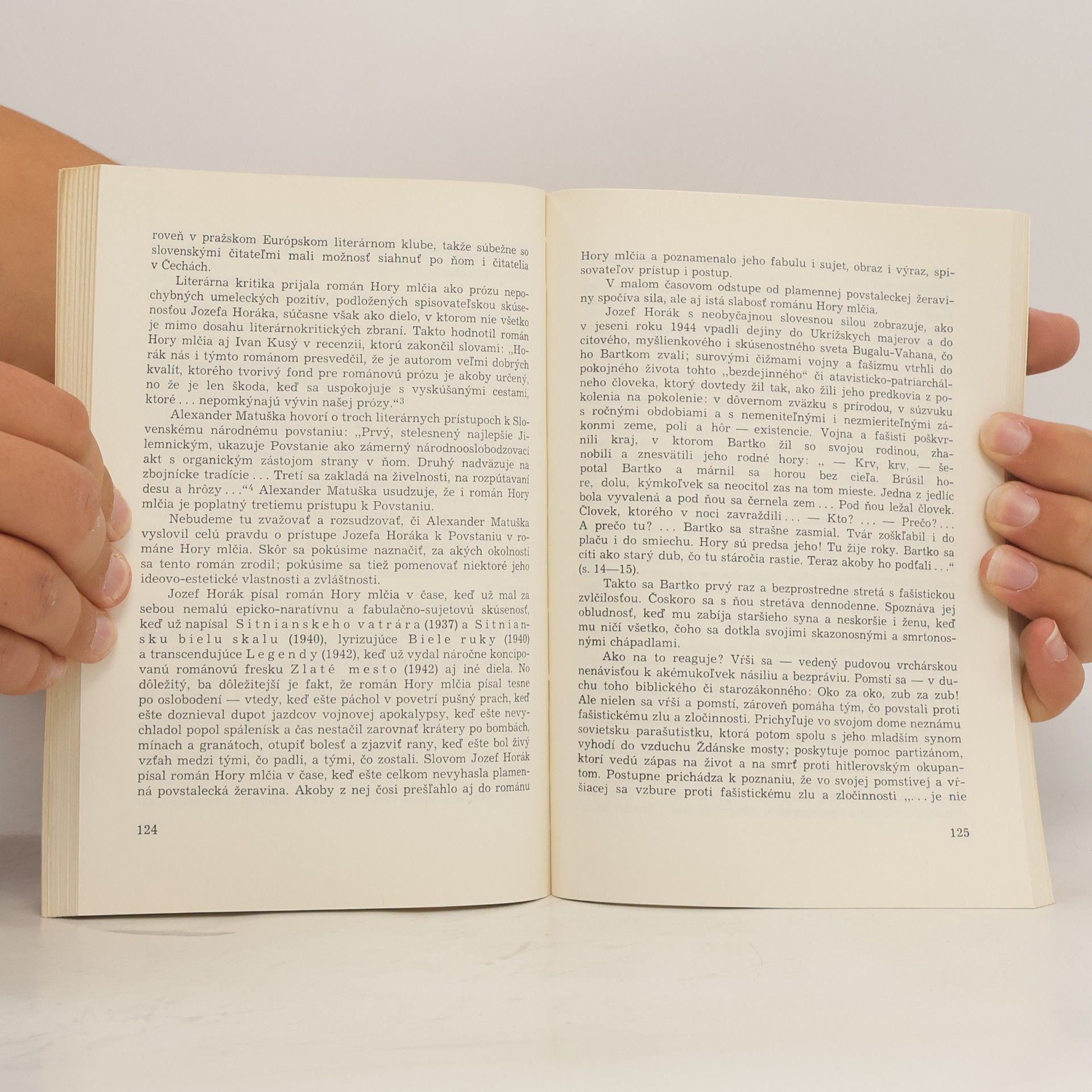 Autorenkollektiv Mikulás Štefan Ferienčík, Jozef Horák a Banská Štiavnica