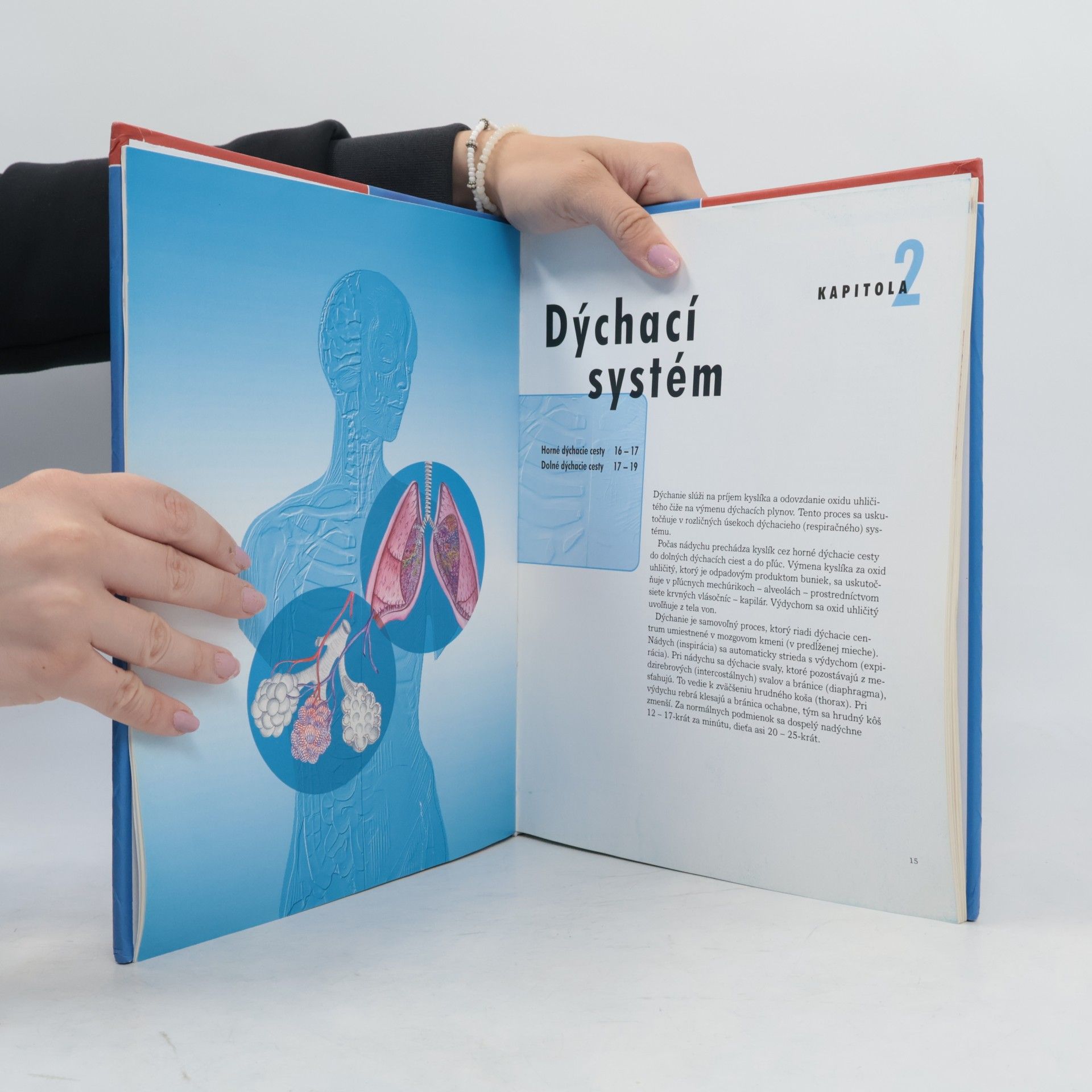 Various authors Ľudské telo. Orgány, telesné systémy, funkcie