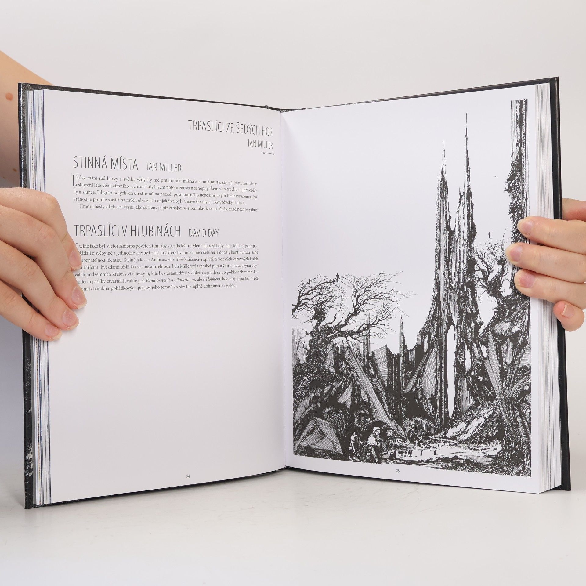 David Day Tolkienův ilustrovaný svět