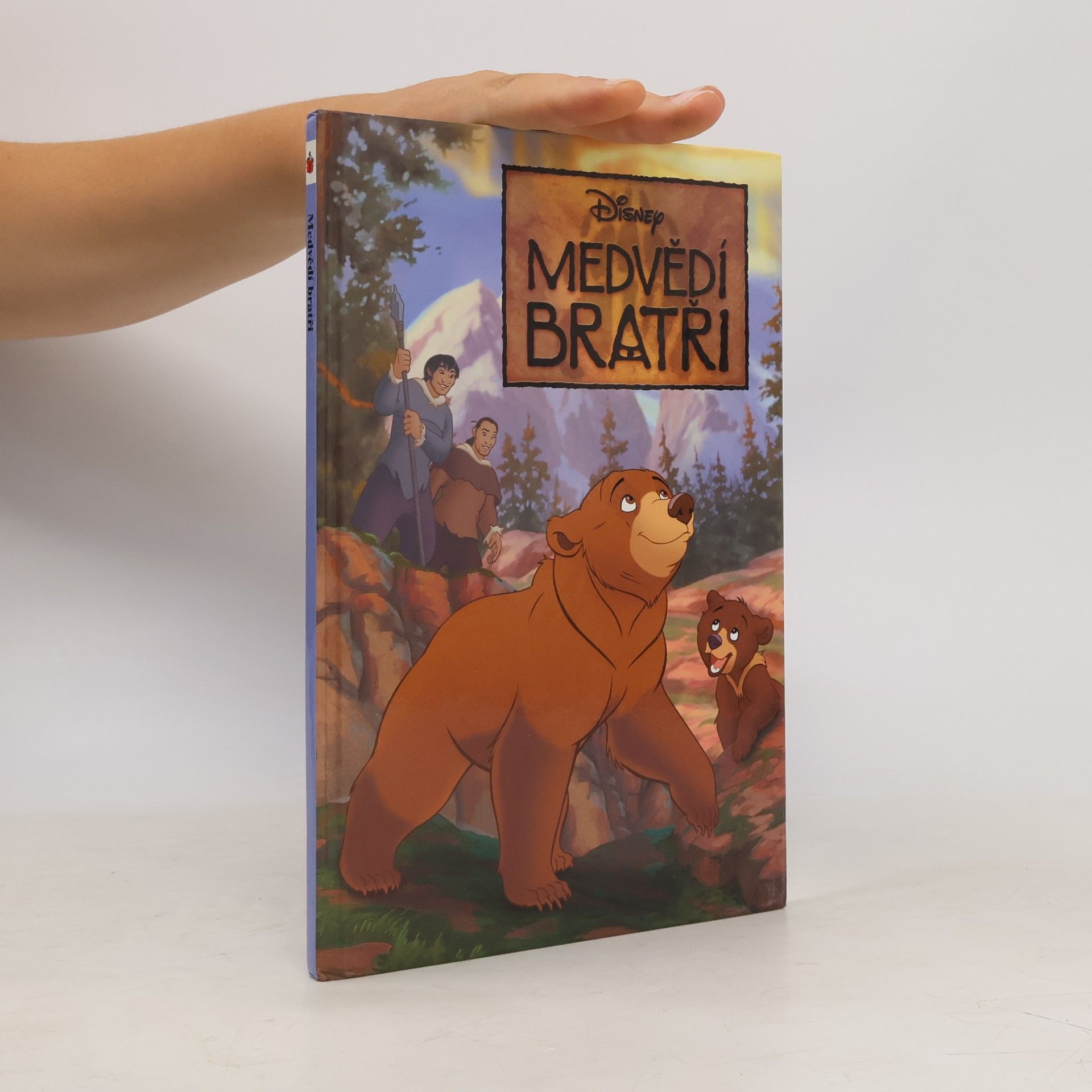 Walt Disney Medvědí bratři