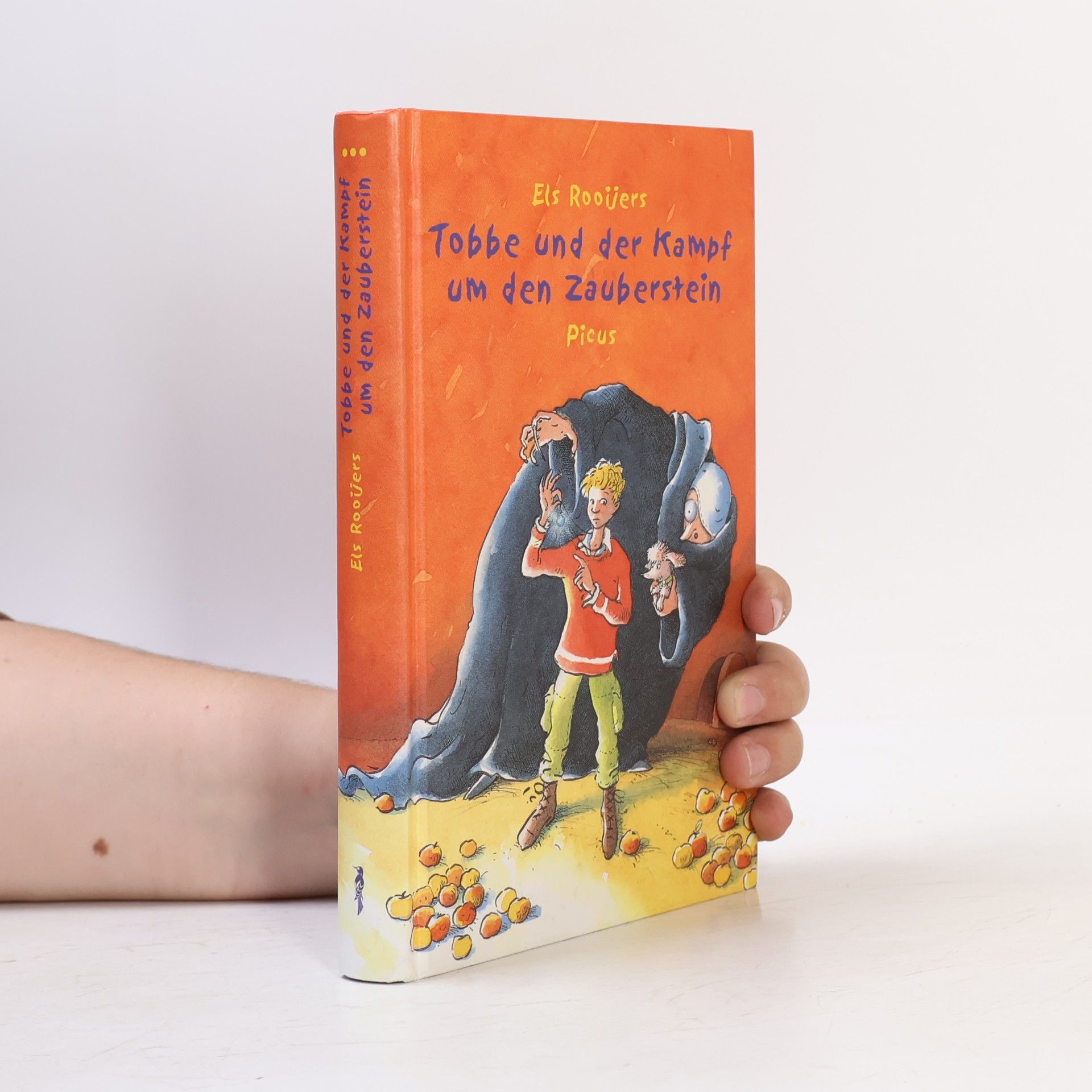 Els Rooijers Tobbe und der Kampf um den Zauberstein