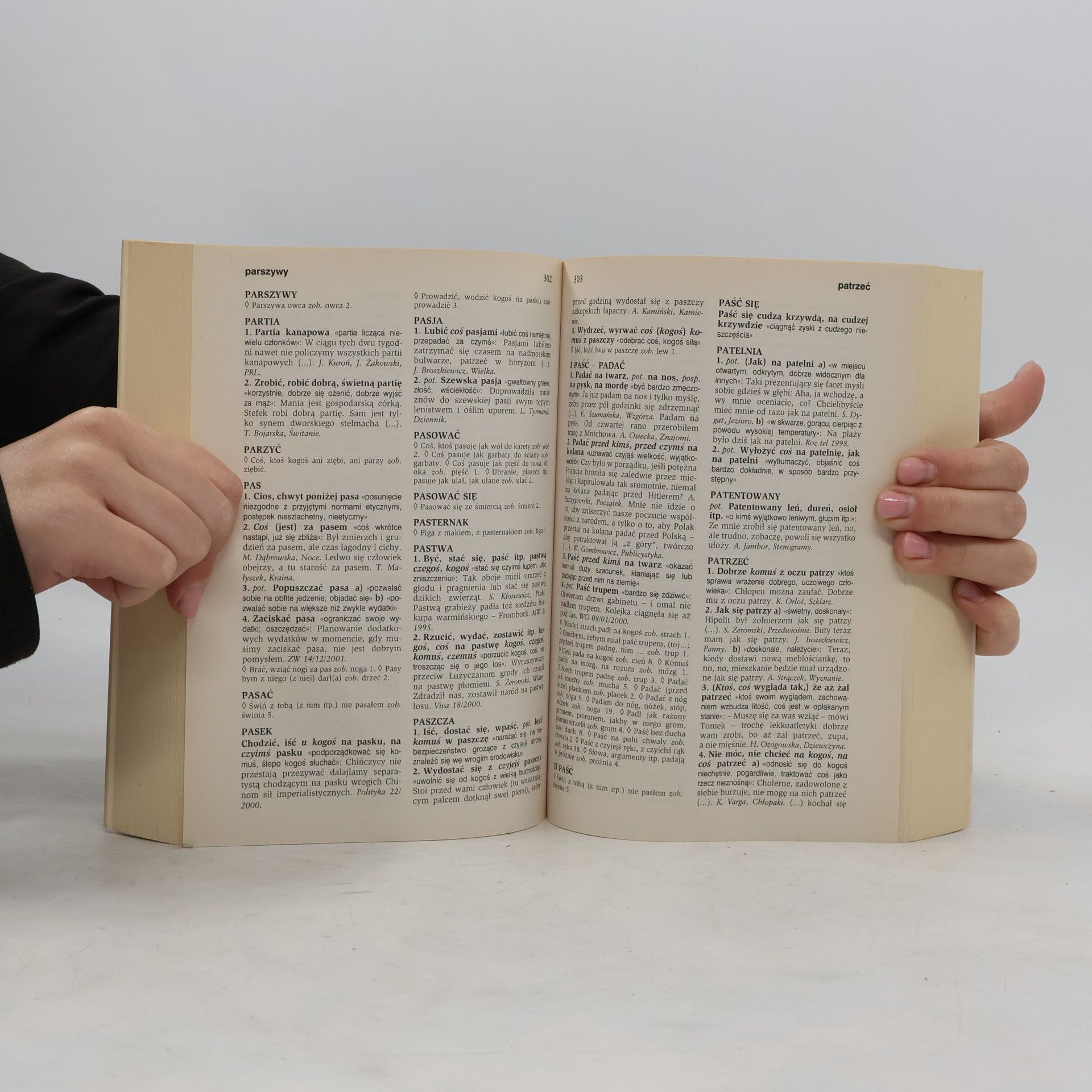 Autorenkollektiv Słownik frazeologiczny PWN