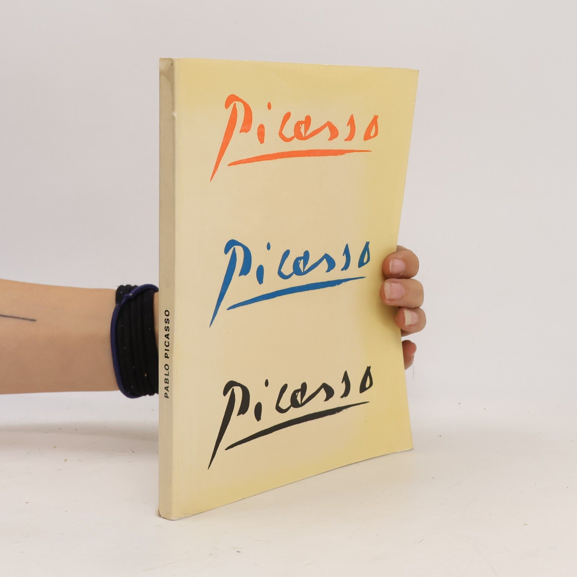 Pablo Picasso Picasso