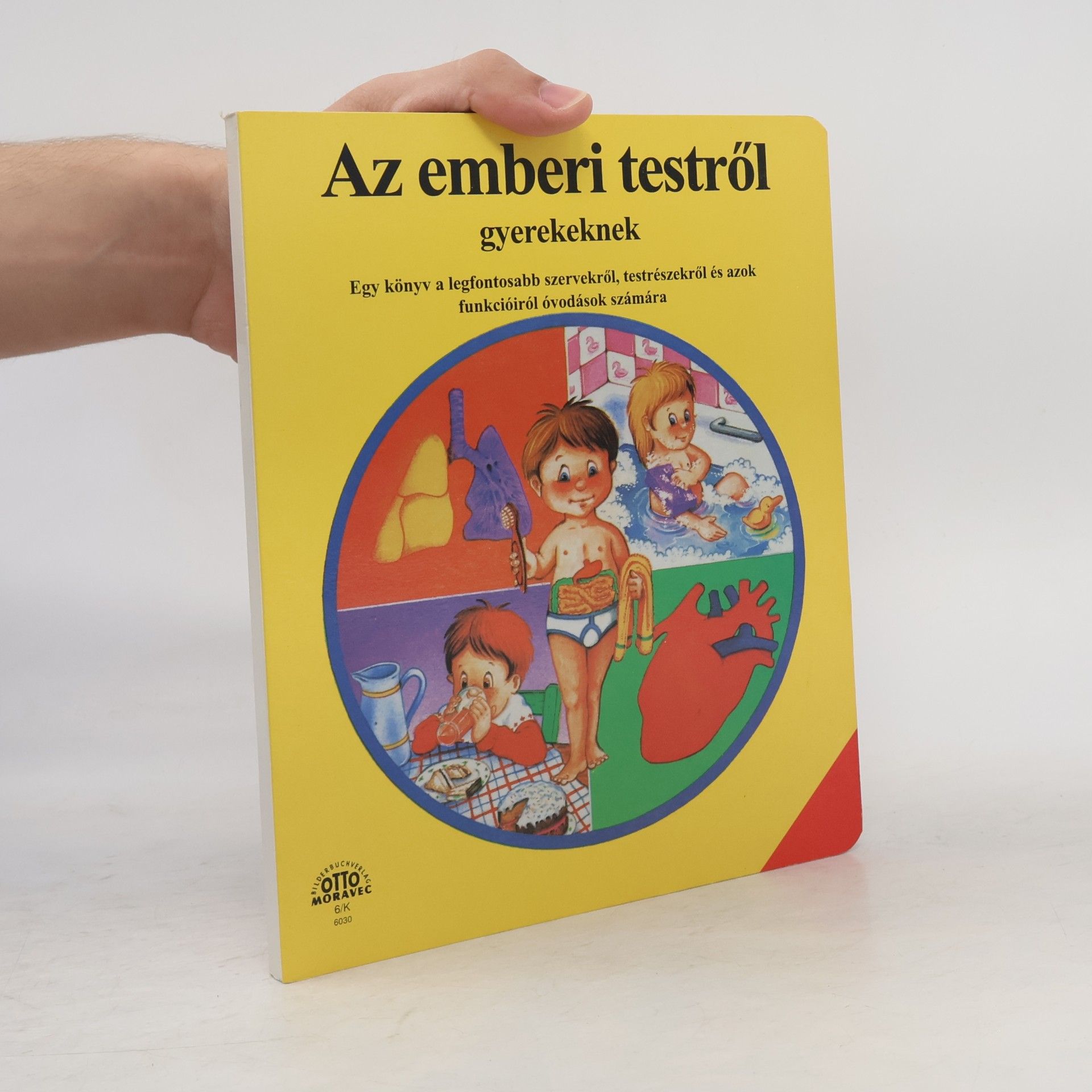 Collectif d'auteurs Mein Körper
