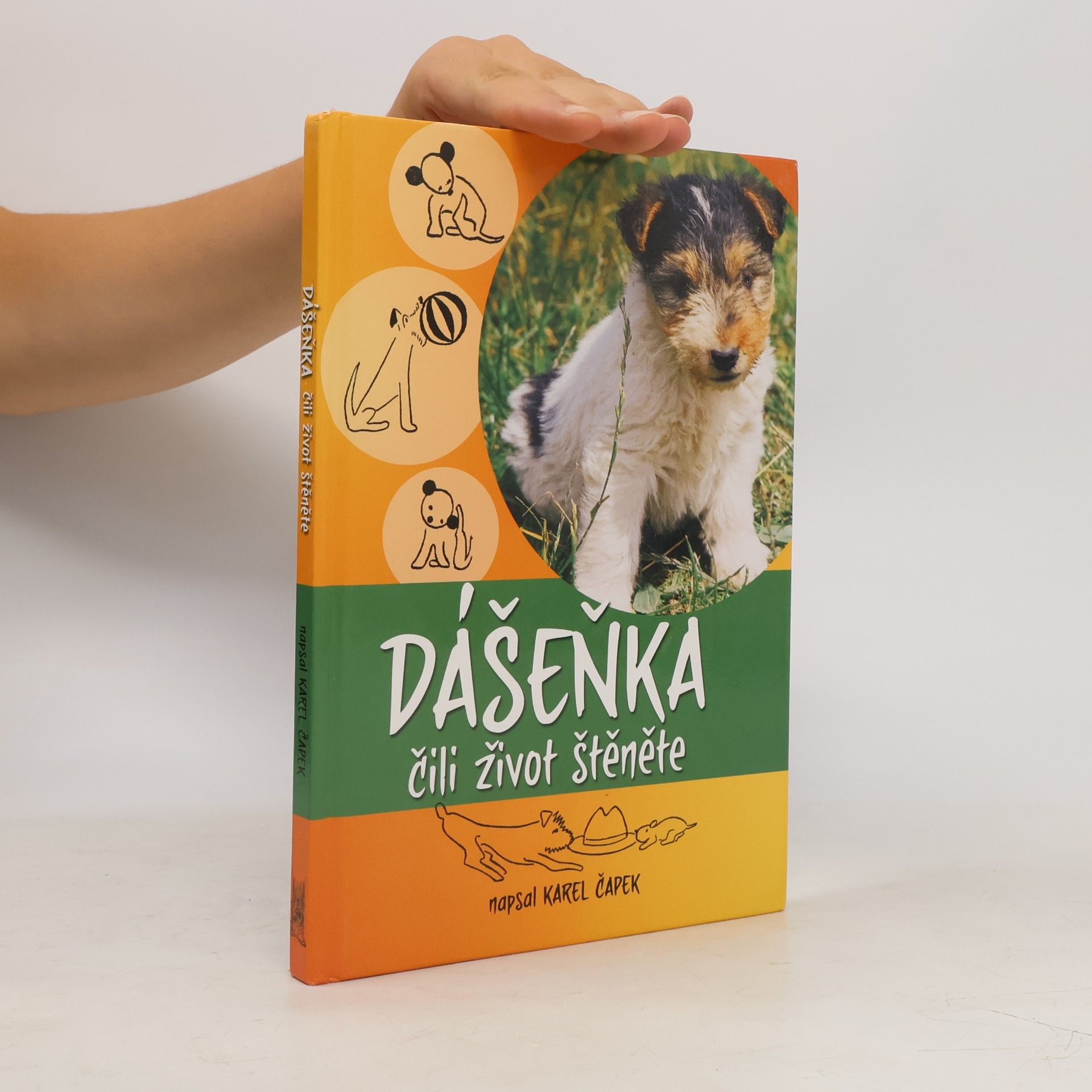 Karel Čapek Dášeňka čili život štěněte
