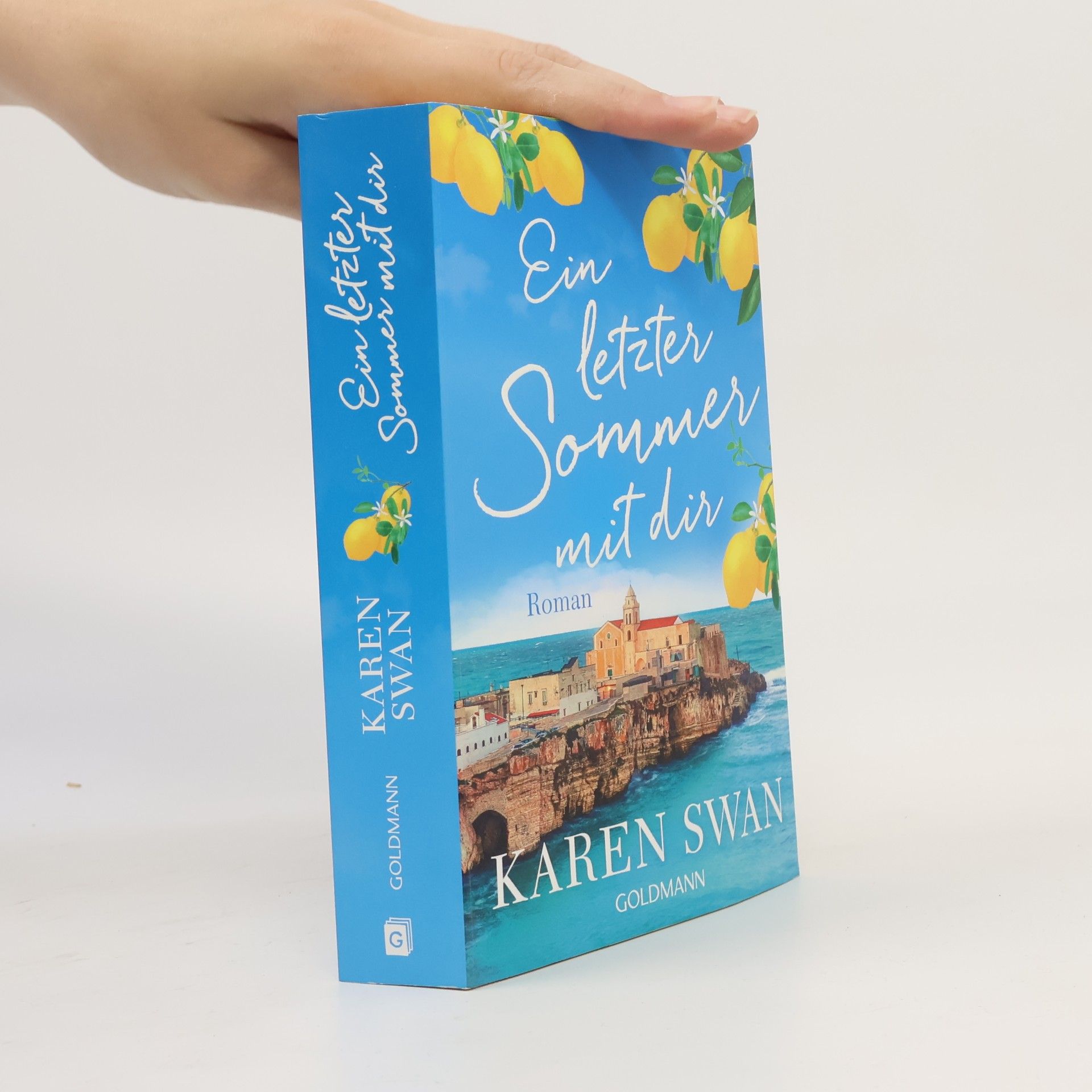 Karen Swan Ein letzter Sommer mit dir