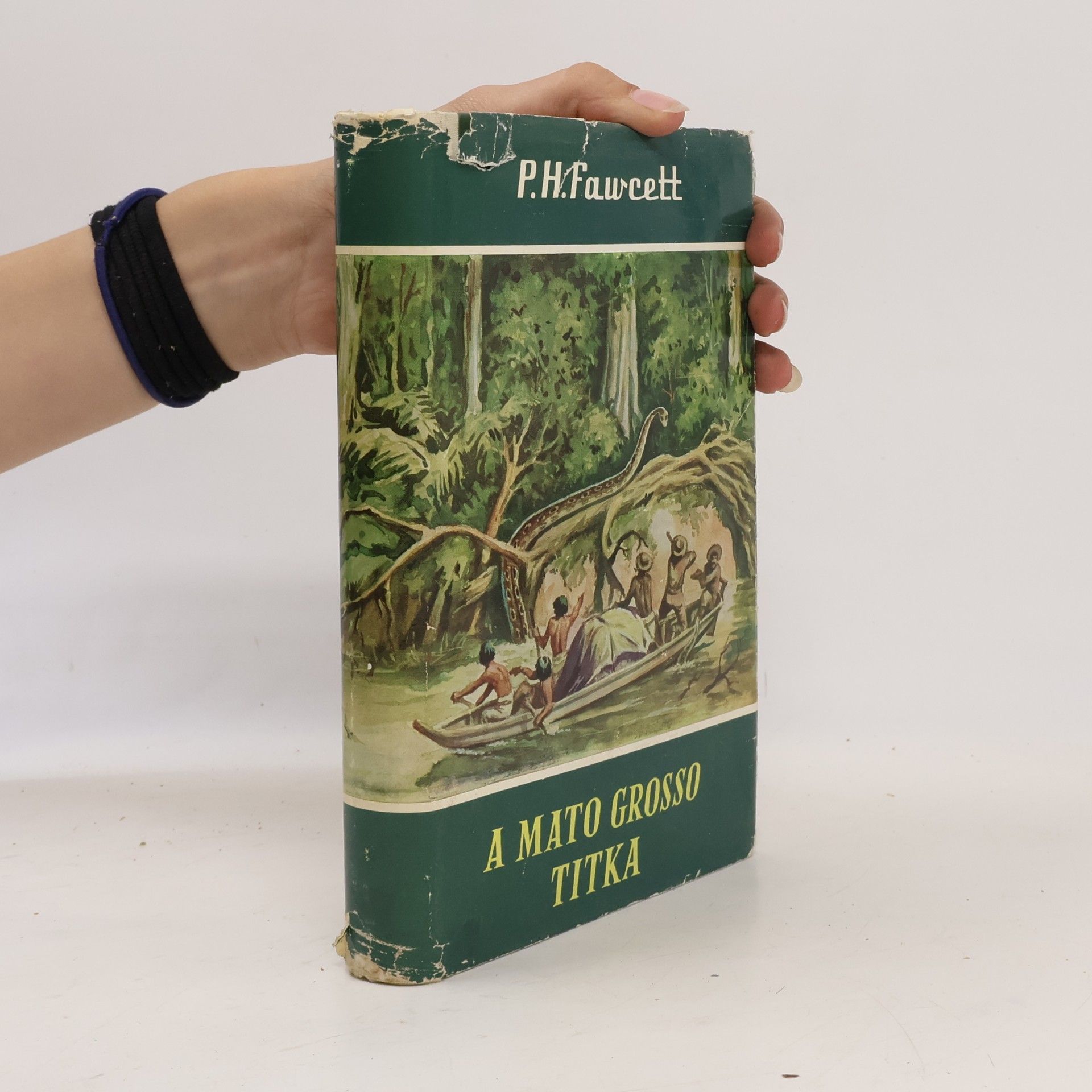 Percy Fawcett A Mato Grosso titka