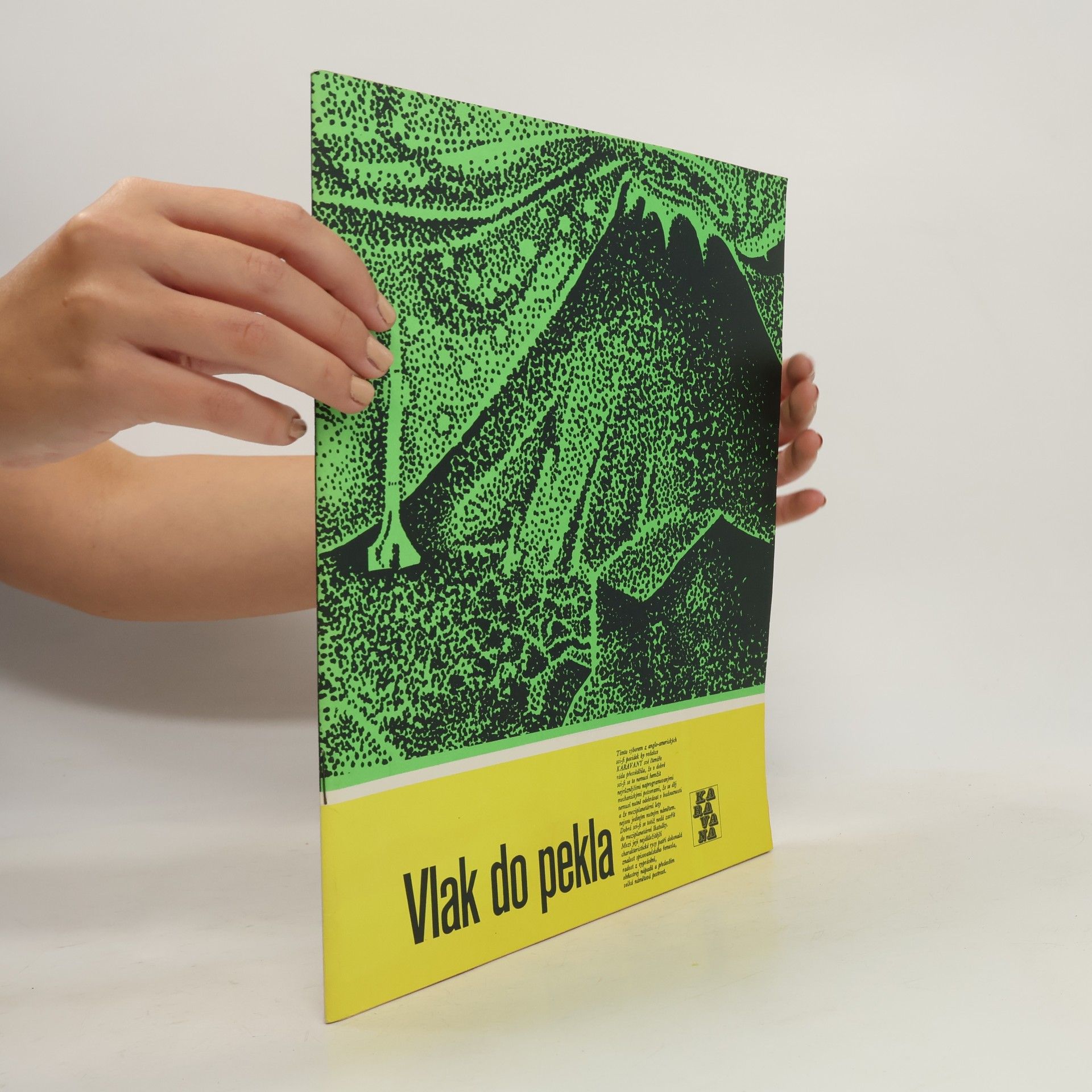 Kolektiv autorů Vlak do pekla