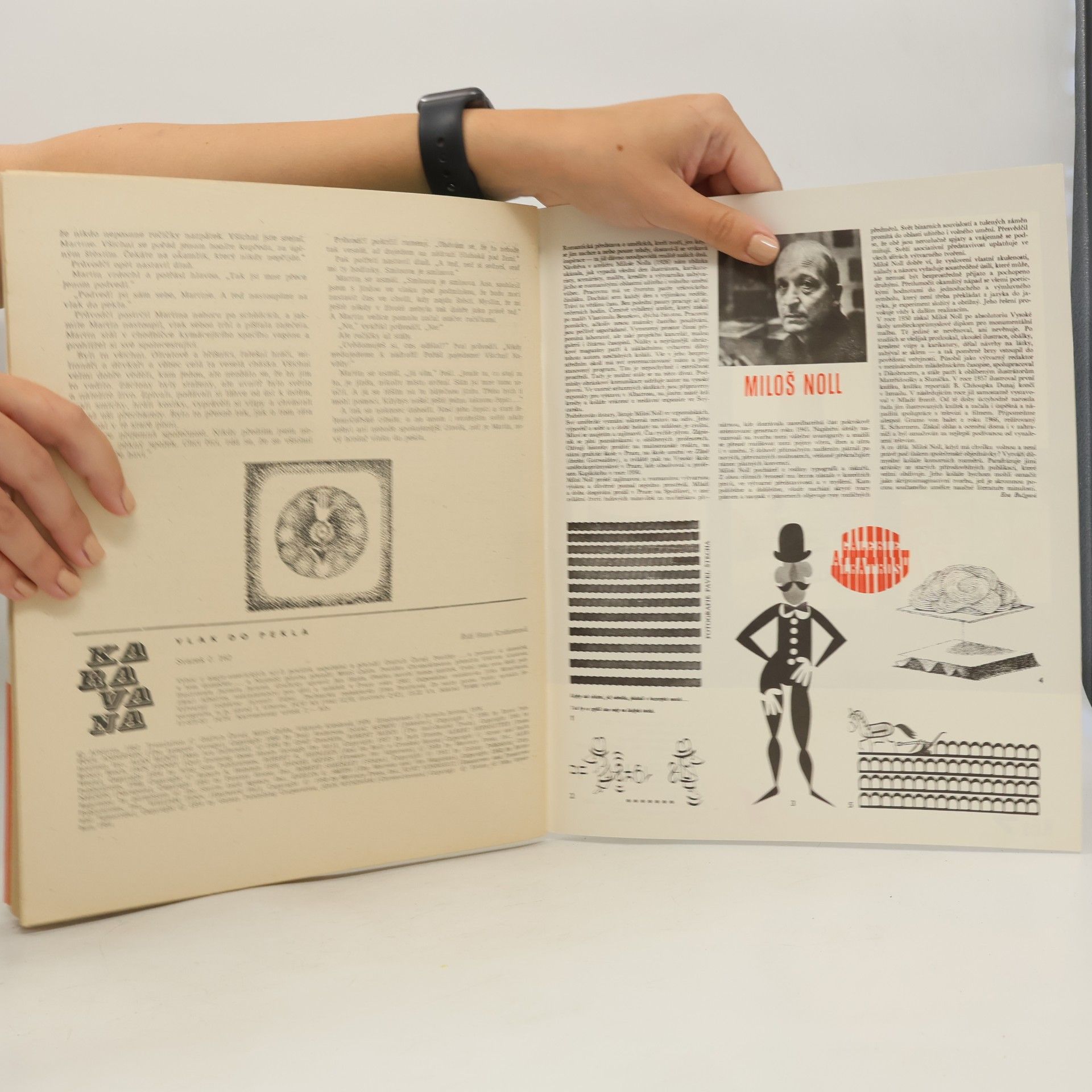 Various authors Vlak do pekla