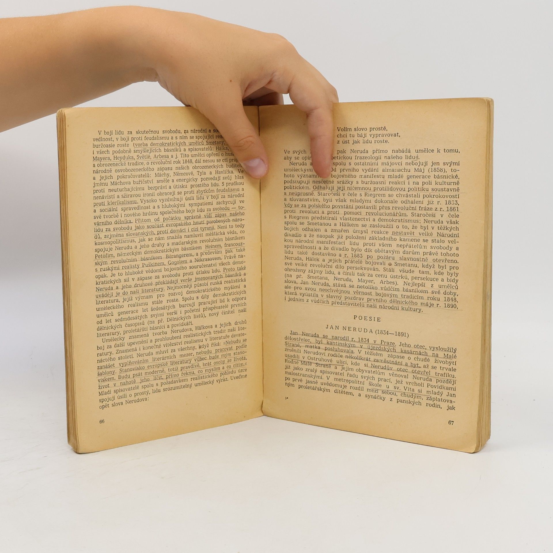 AA.VV. Nástin dějin české literatury