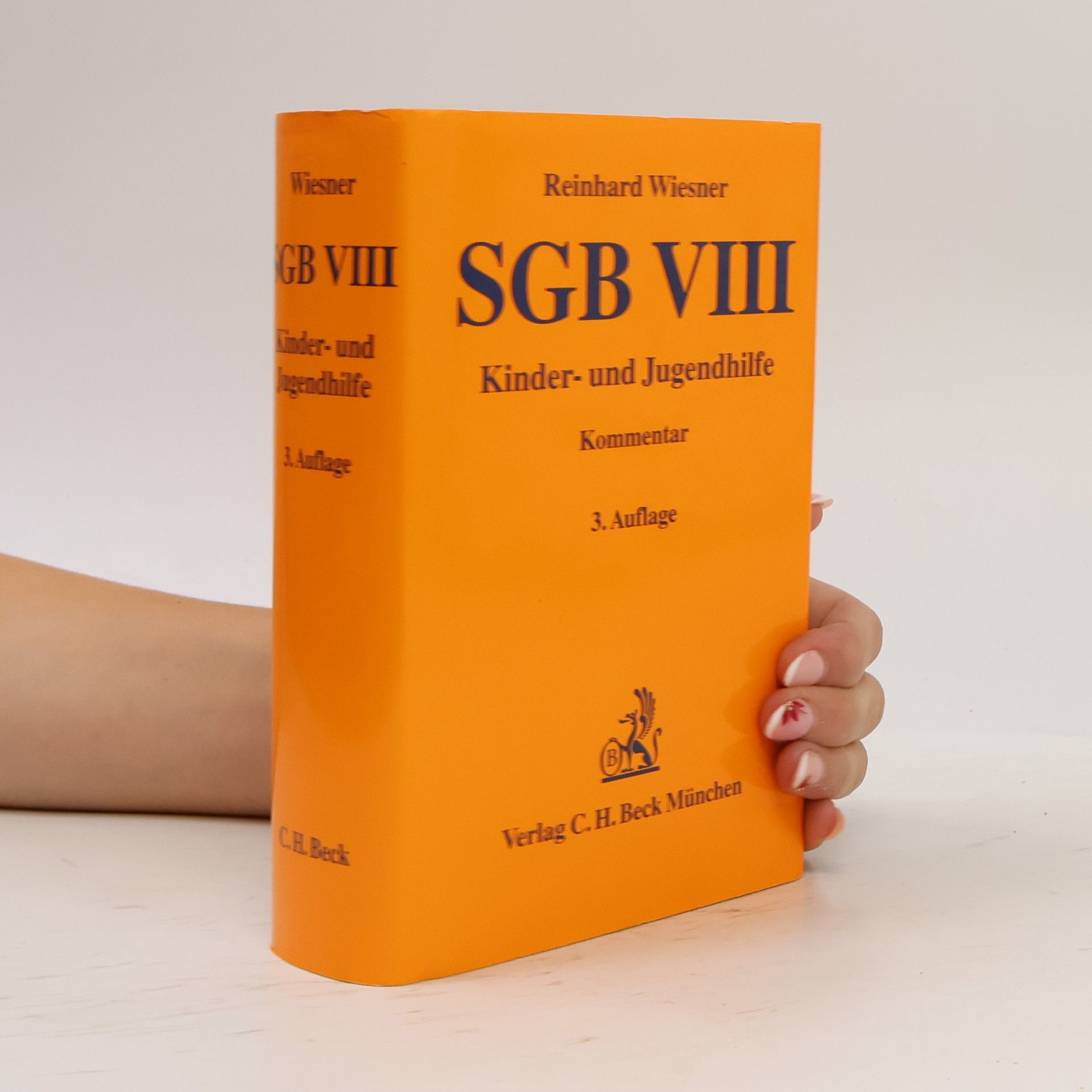 Reinhard Wiesner SGB VIII, Kinder- und Jugendhilfe - 3. Auflage