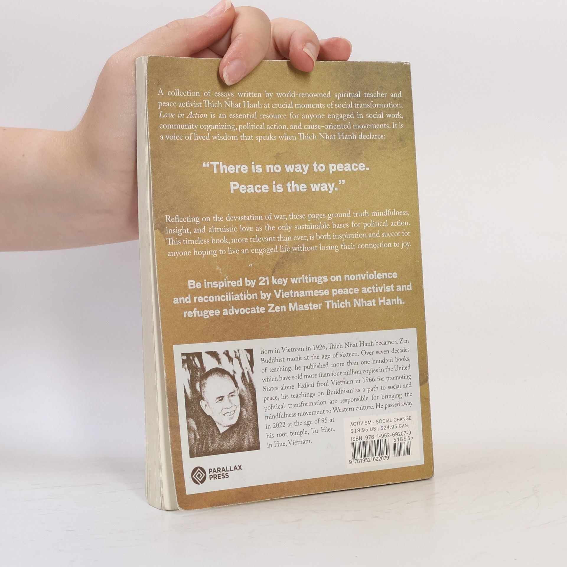 Thich Nhat Hanh Love In Action